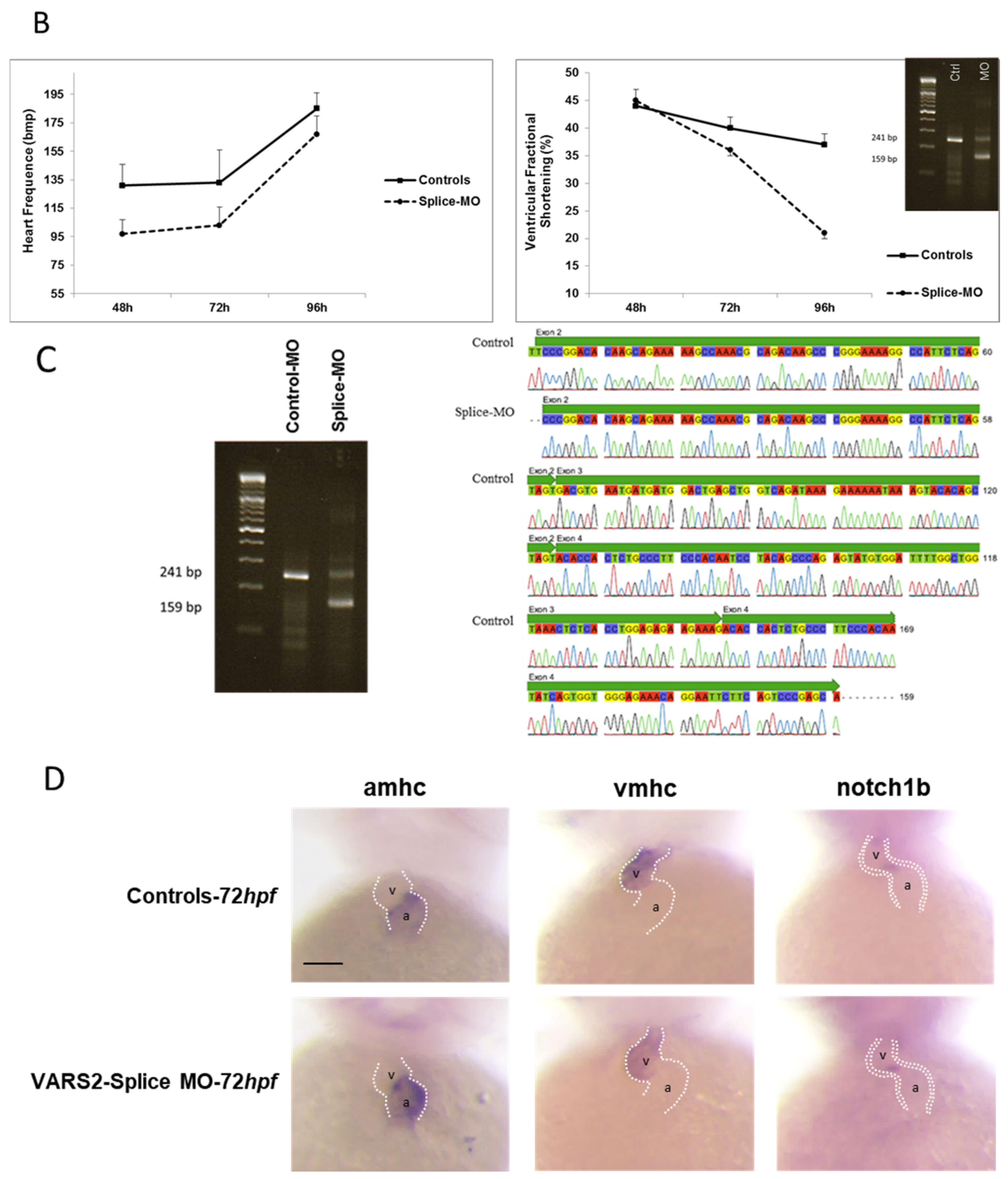 Ijms 23 07327 g001b 550
