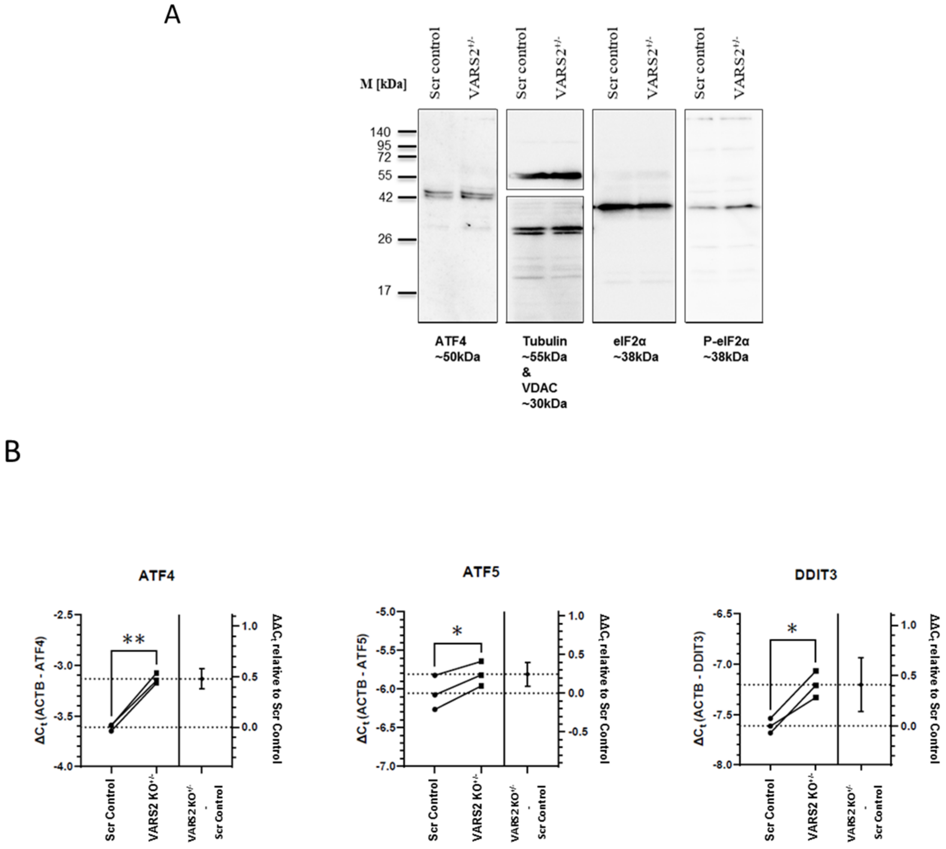 Ijms 23 07327 g004 550