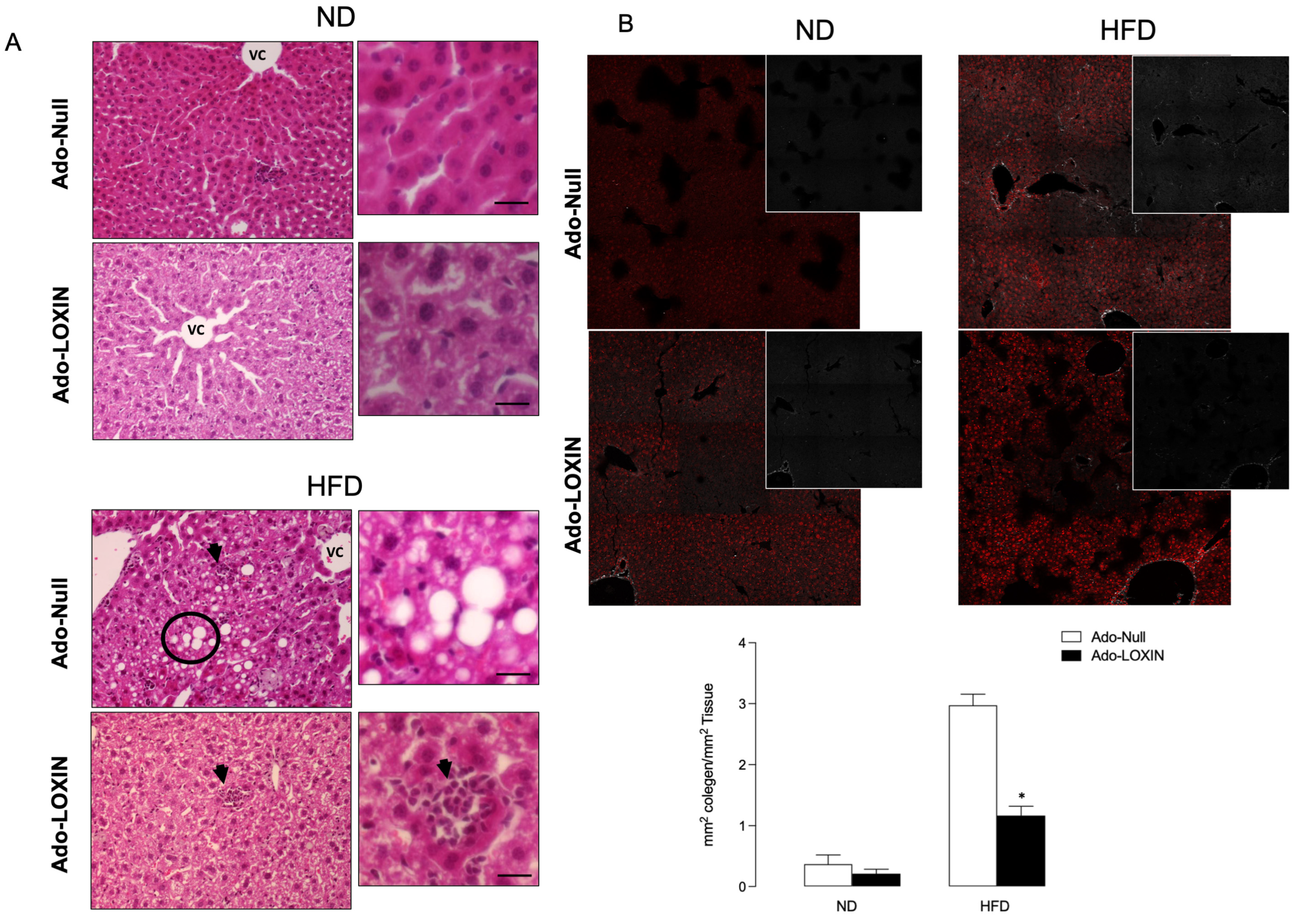 Ijms 23 07329 g005 550