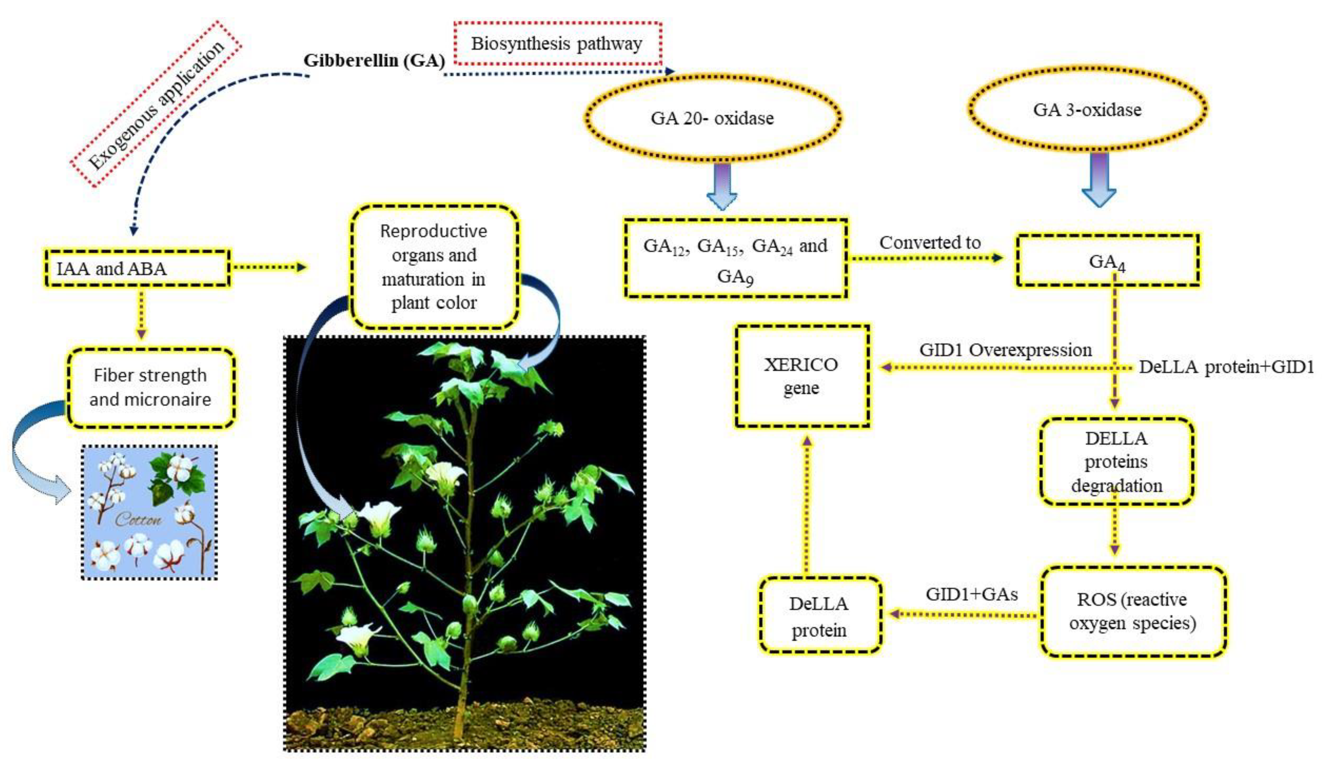 Ijms 23 07339 g001 550