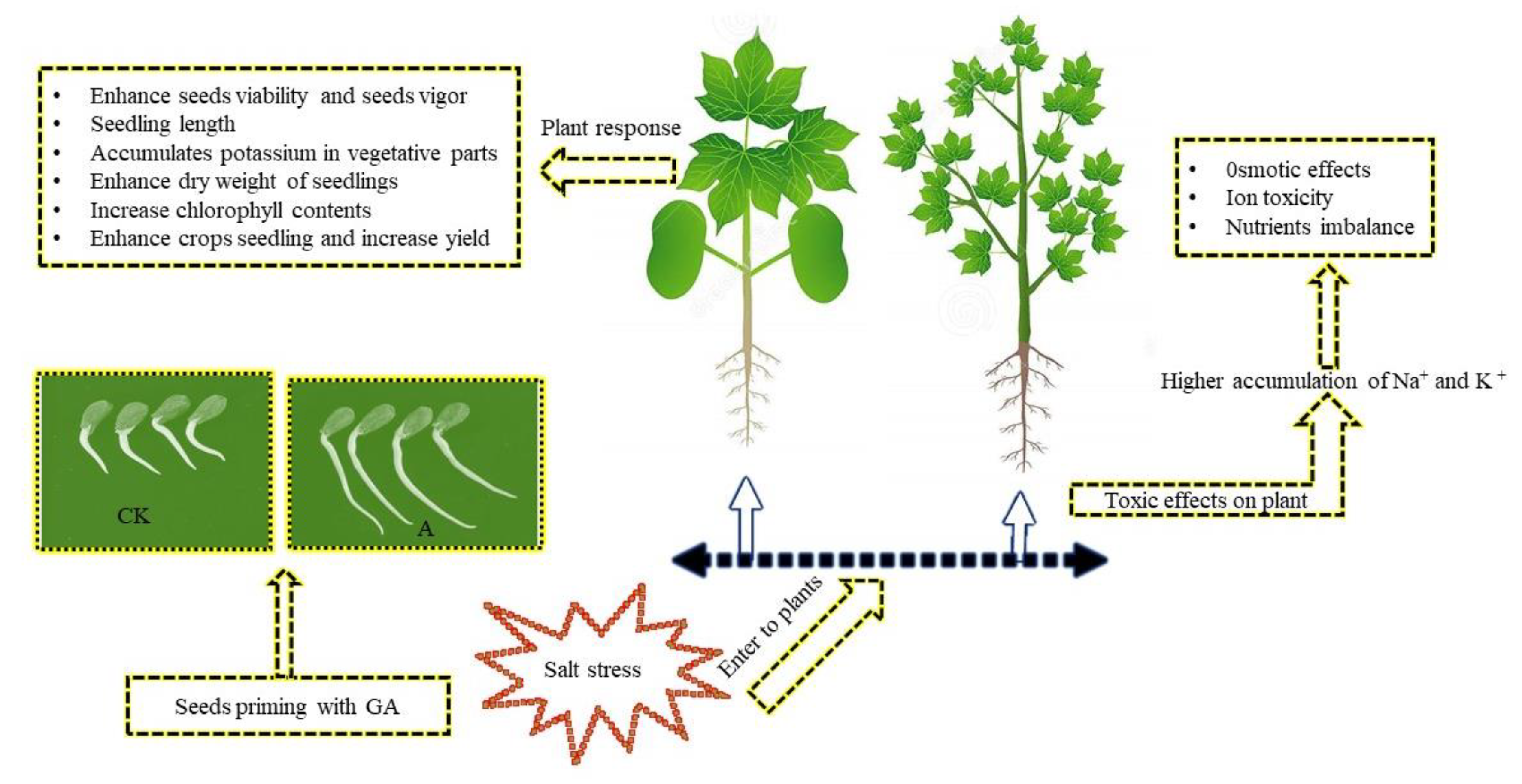 Ijms 23 07339 g002 550