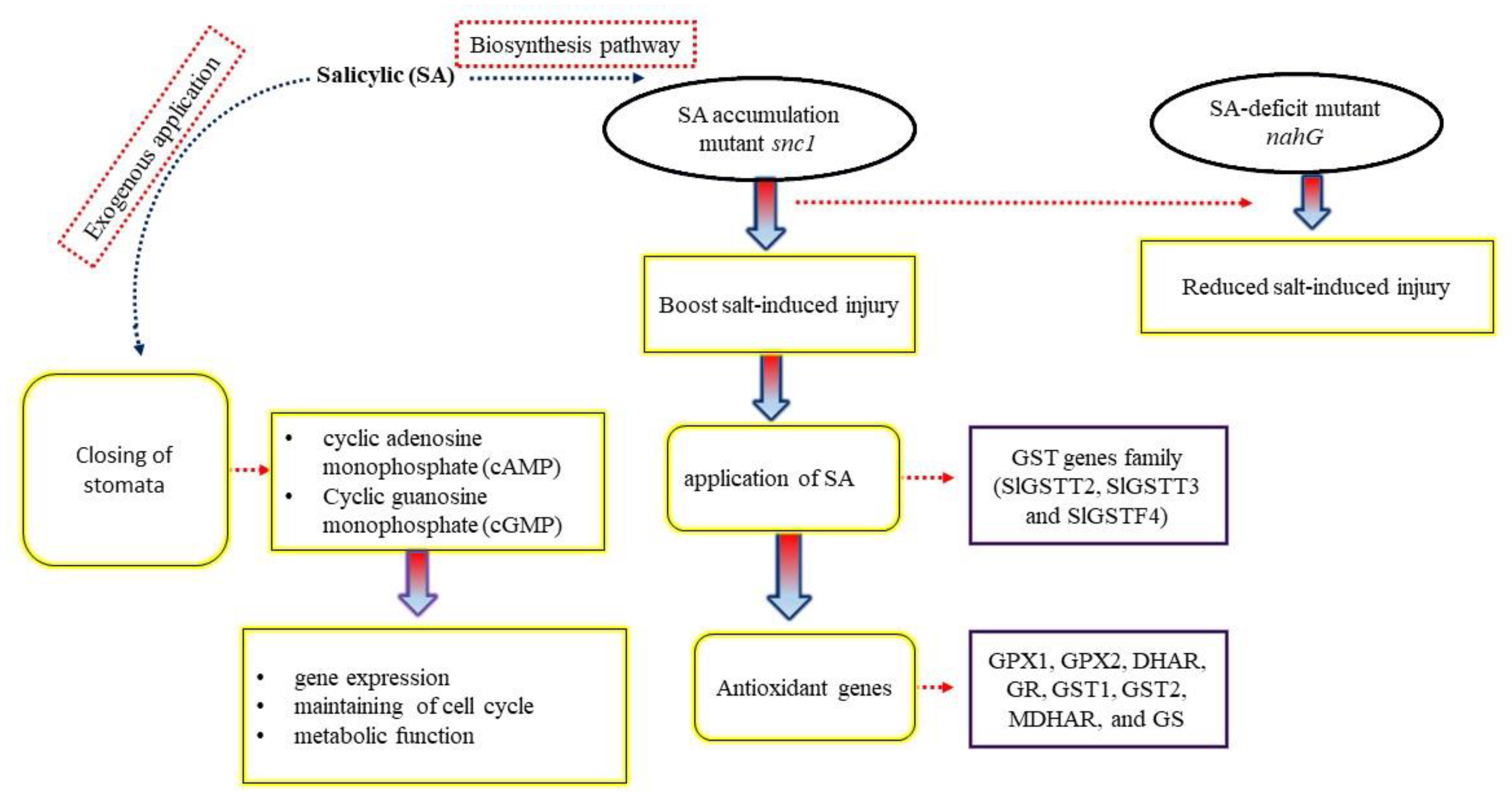 Ijms 23 07339 g003 550