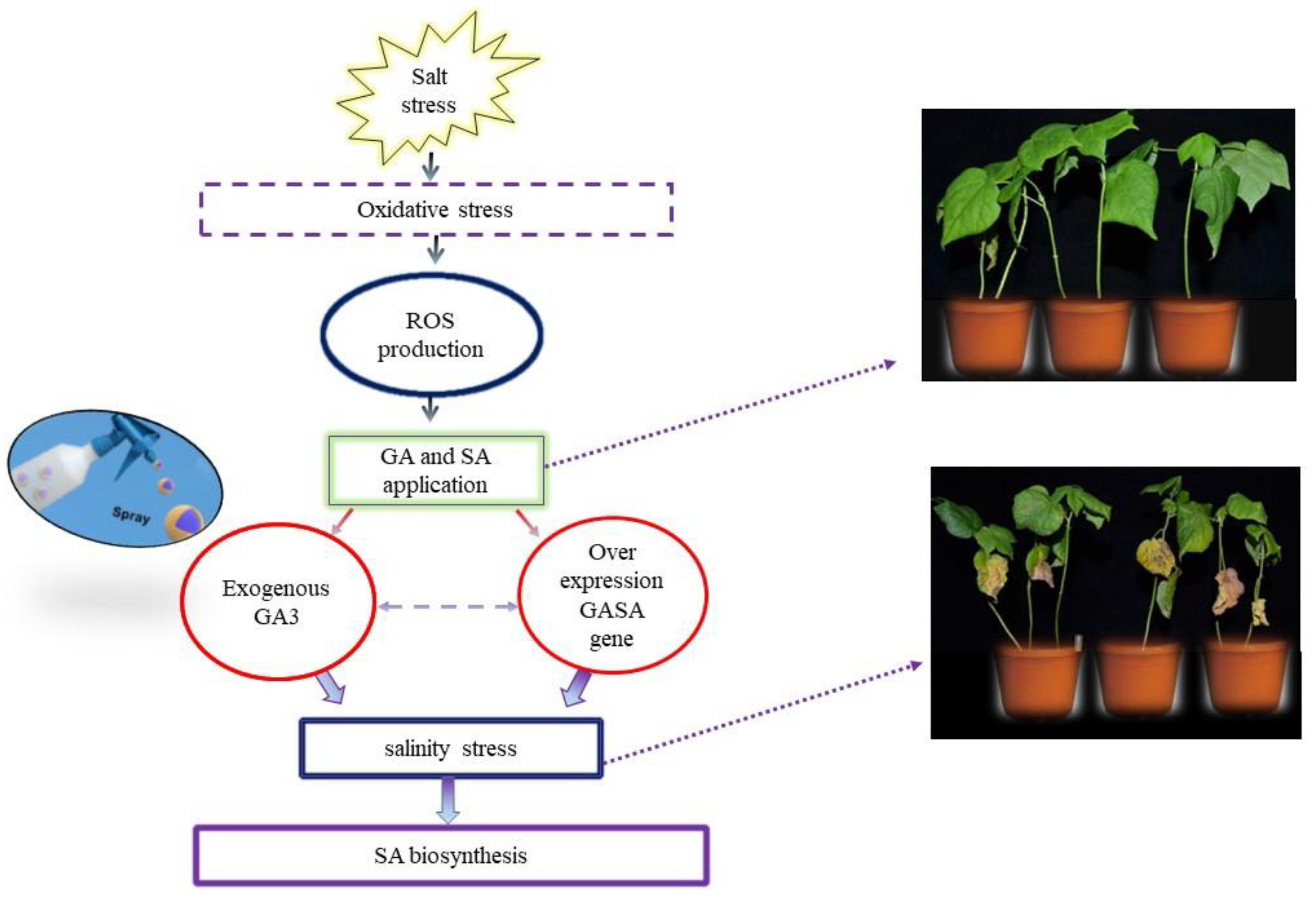 Ijms 23 07339 g004 550