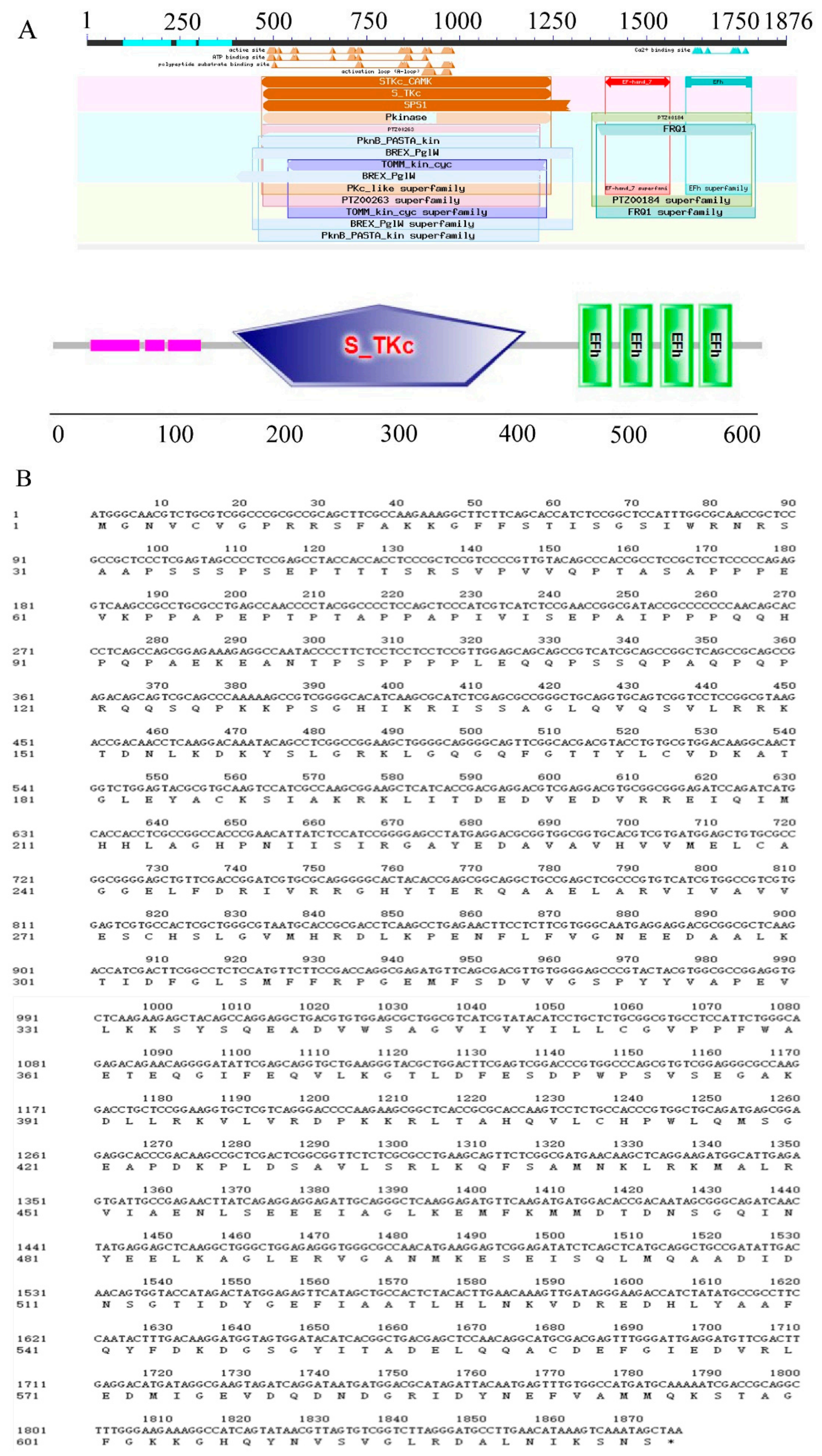 Ijms 23 07341 g002 550