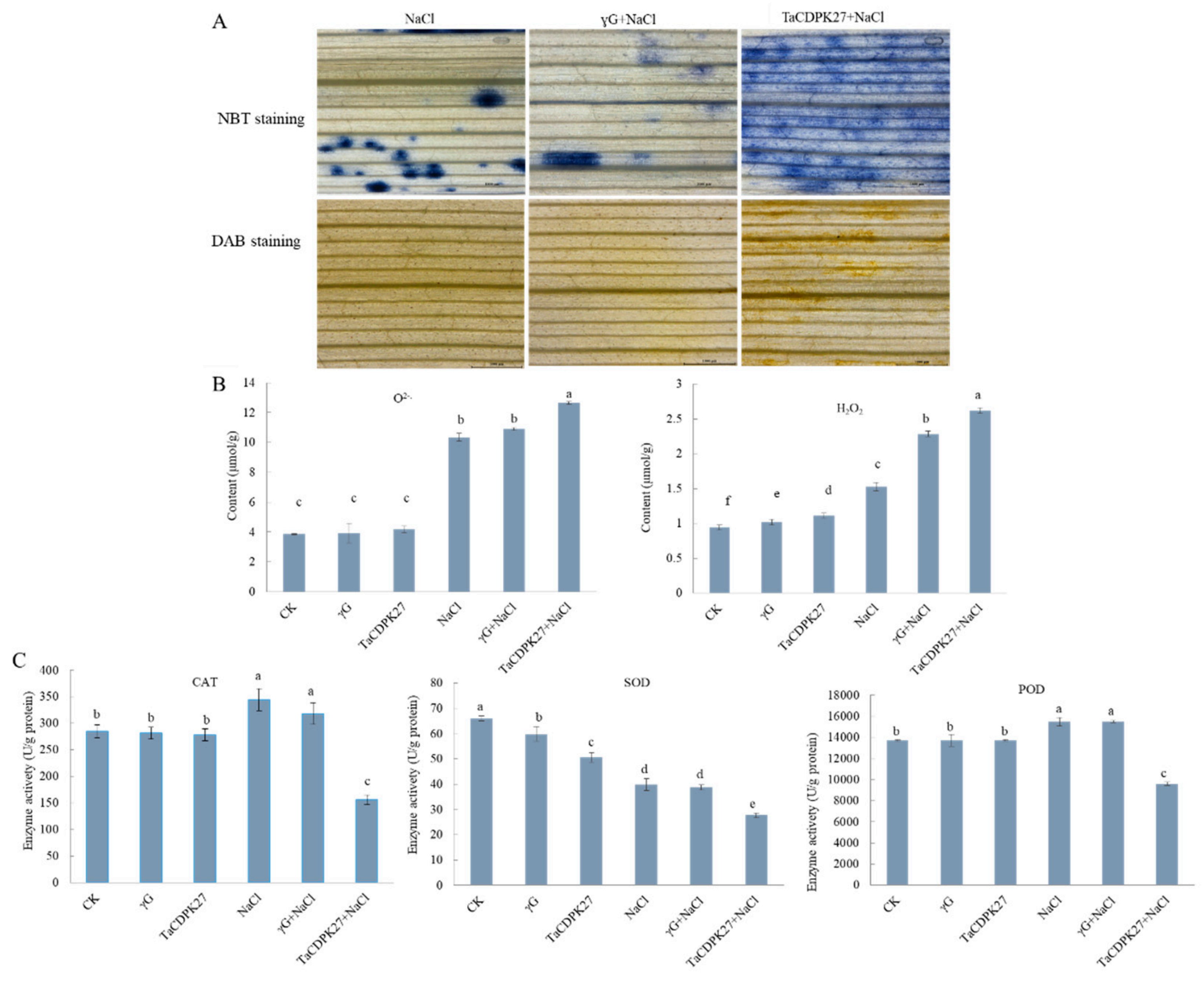 Ijms 23 07341 g008 550