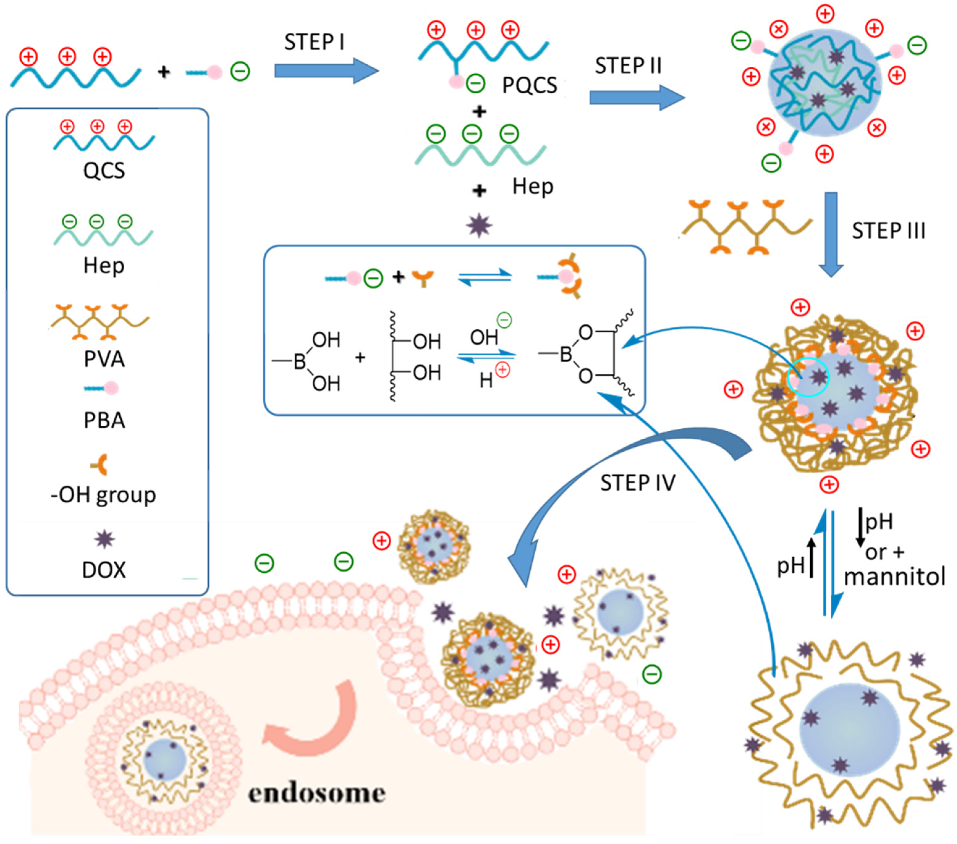 Ijms 23 07342 g001 550