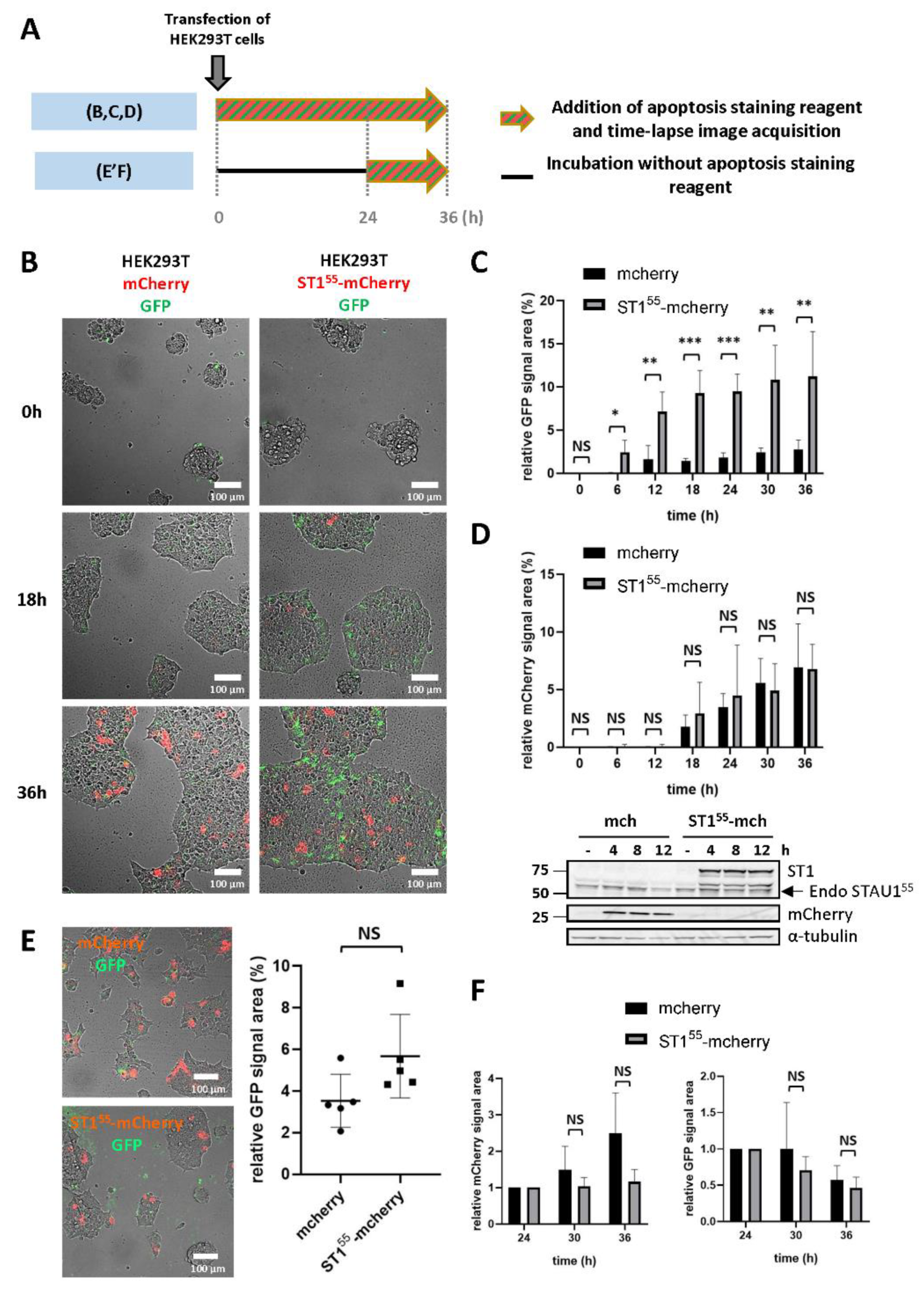 Ijms 23 07344 g001 550