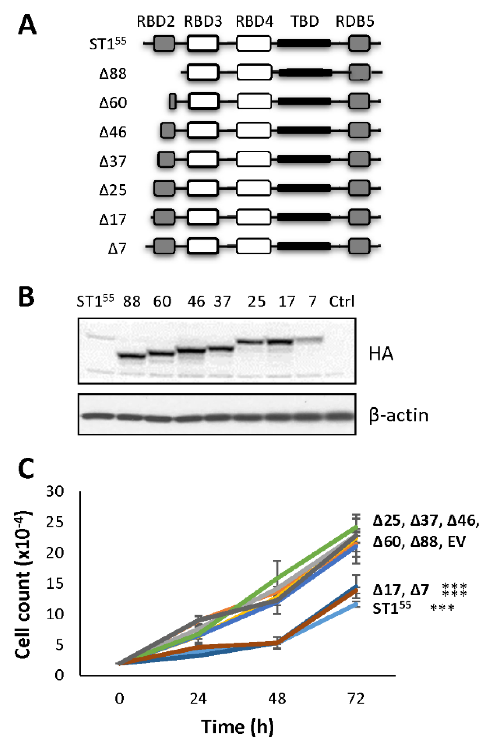 Ijms 23 07344 g002 550