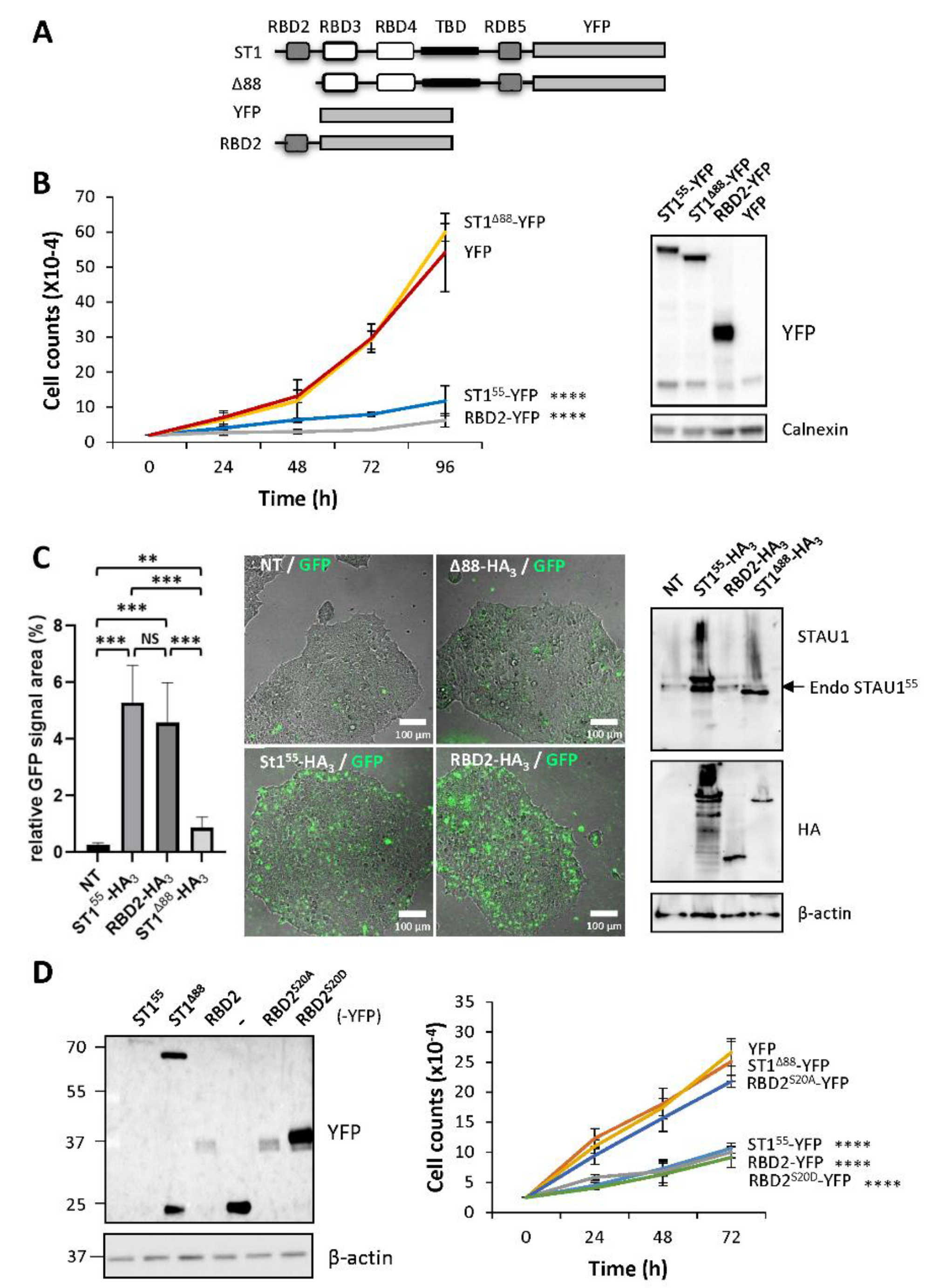 Ijms 23 07344 g005 550