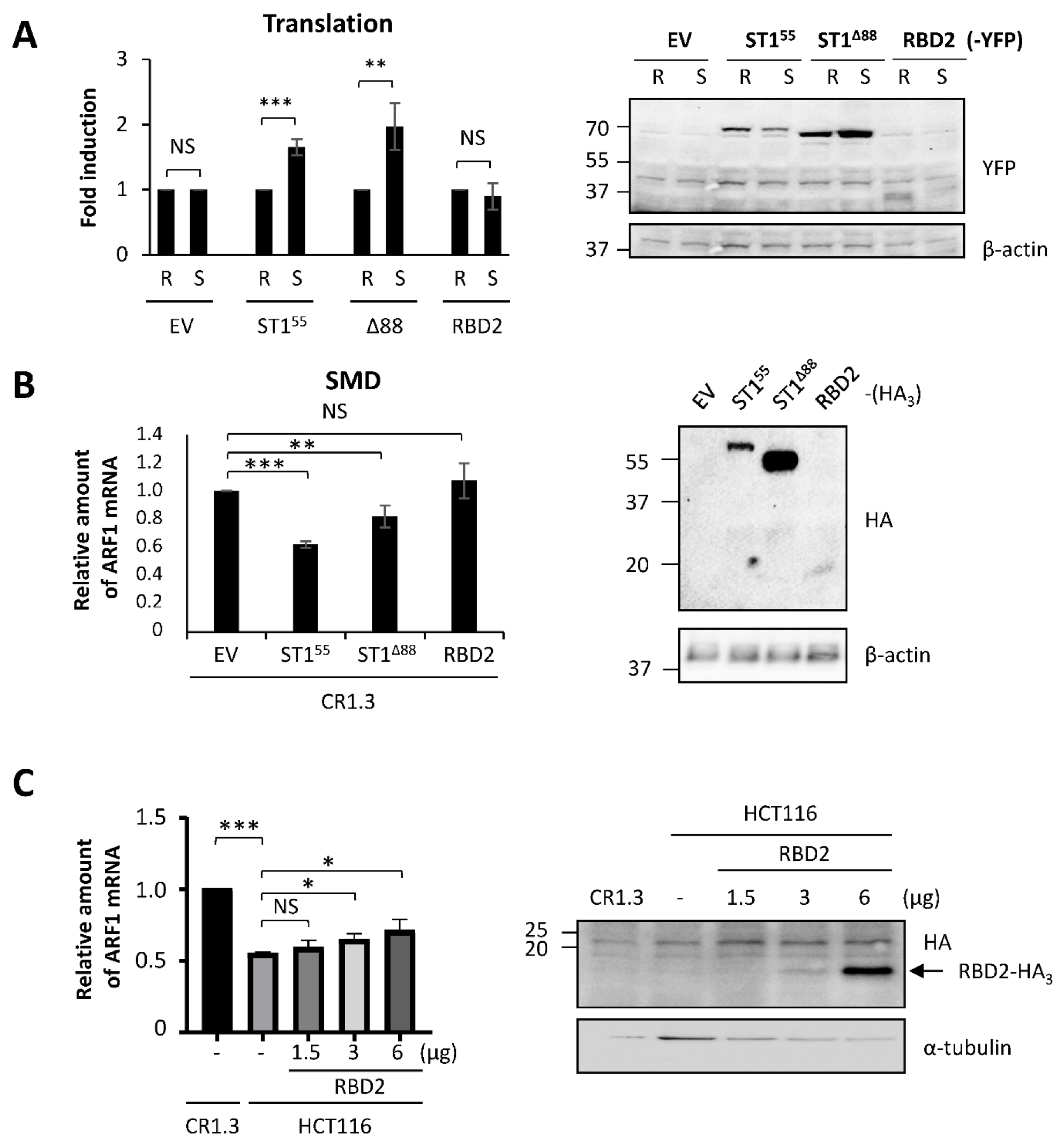 Ijms 23 07344 g006 550