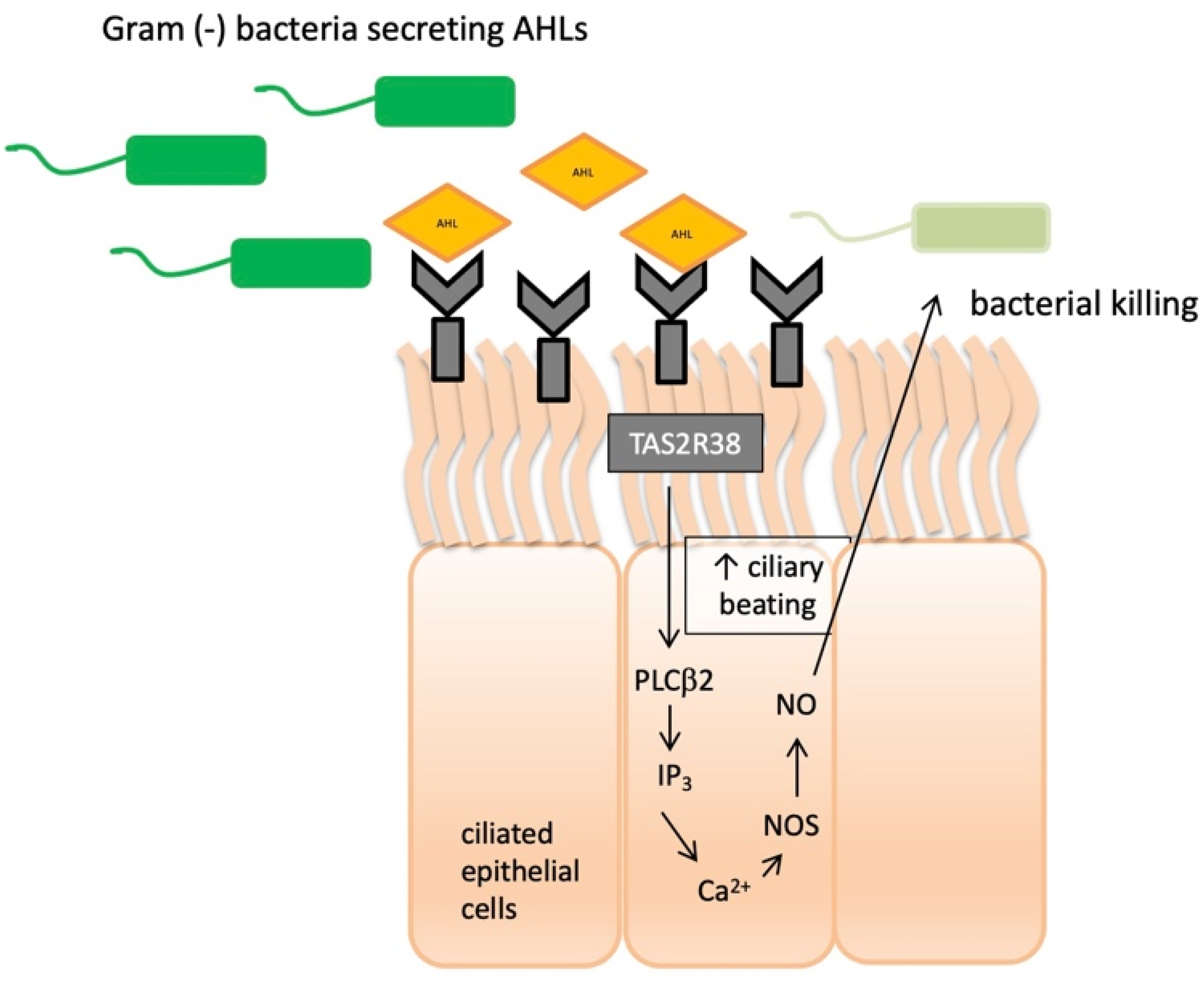 Ijms 23 07345 g001 Ijms 23 07345 g001