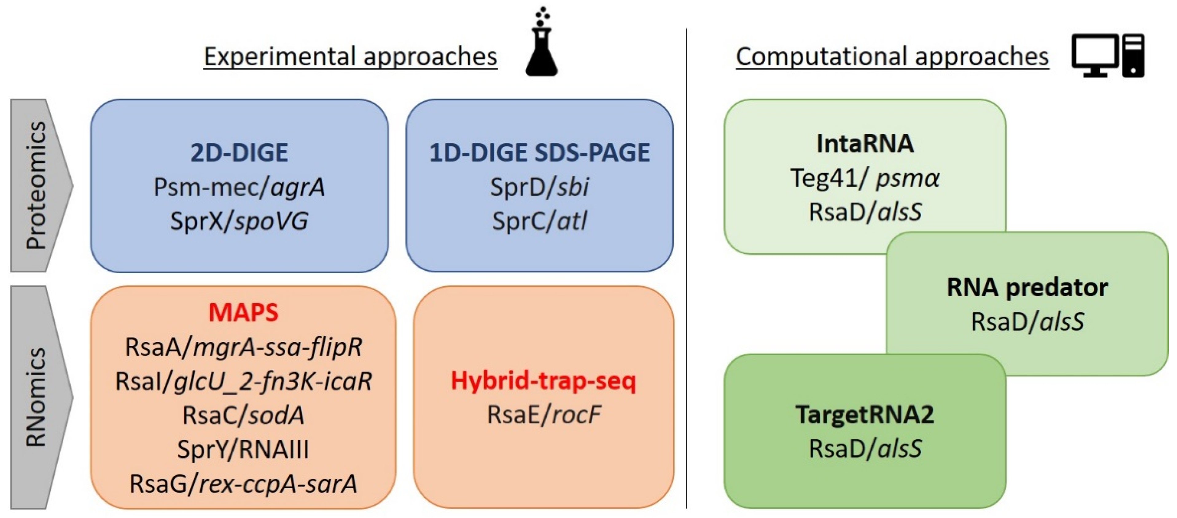 Ijms 23 07346 g002 Ijms 23 07346 g002