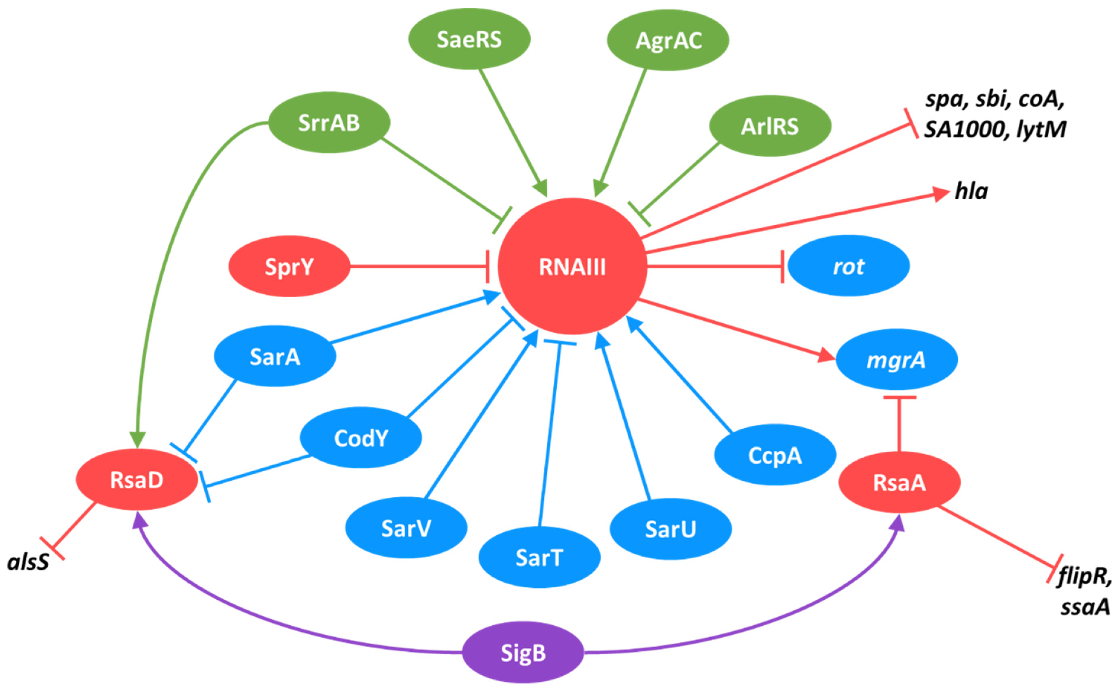 Ijms 23 07346 g005 Ijms 23 07346 g005