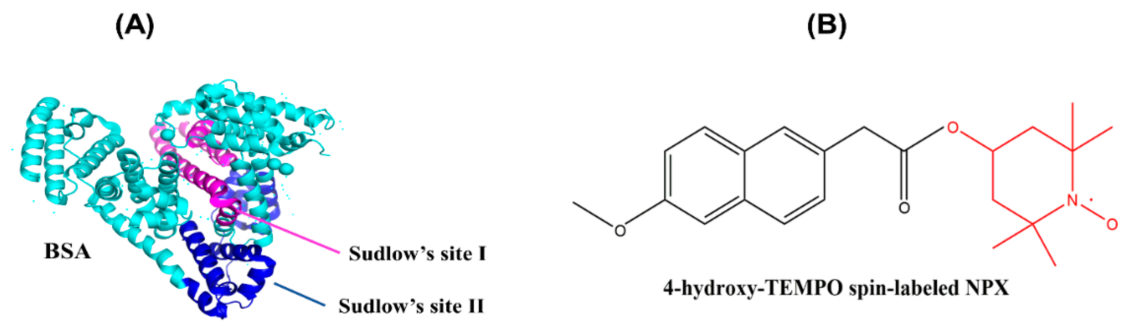 Ijms 23 07352 g001 550