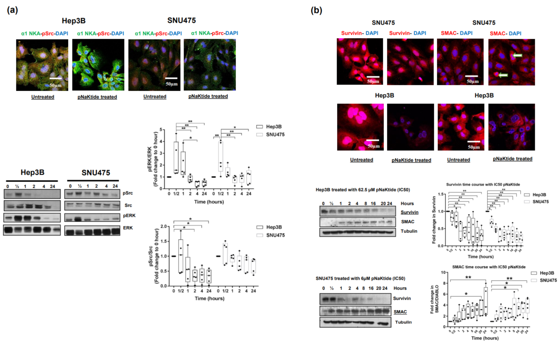 Ijms 23 07359 g002 Ijms 23 07359 g002