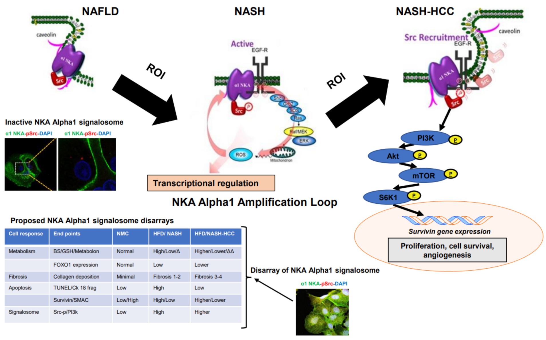 Ijms 23 07359 g008 Ijms 23 07359 g008