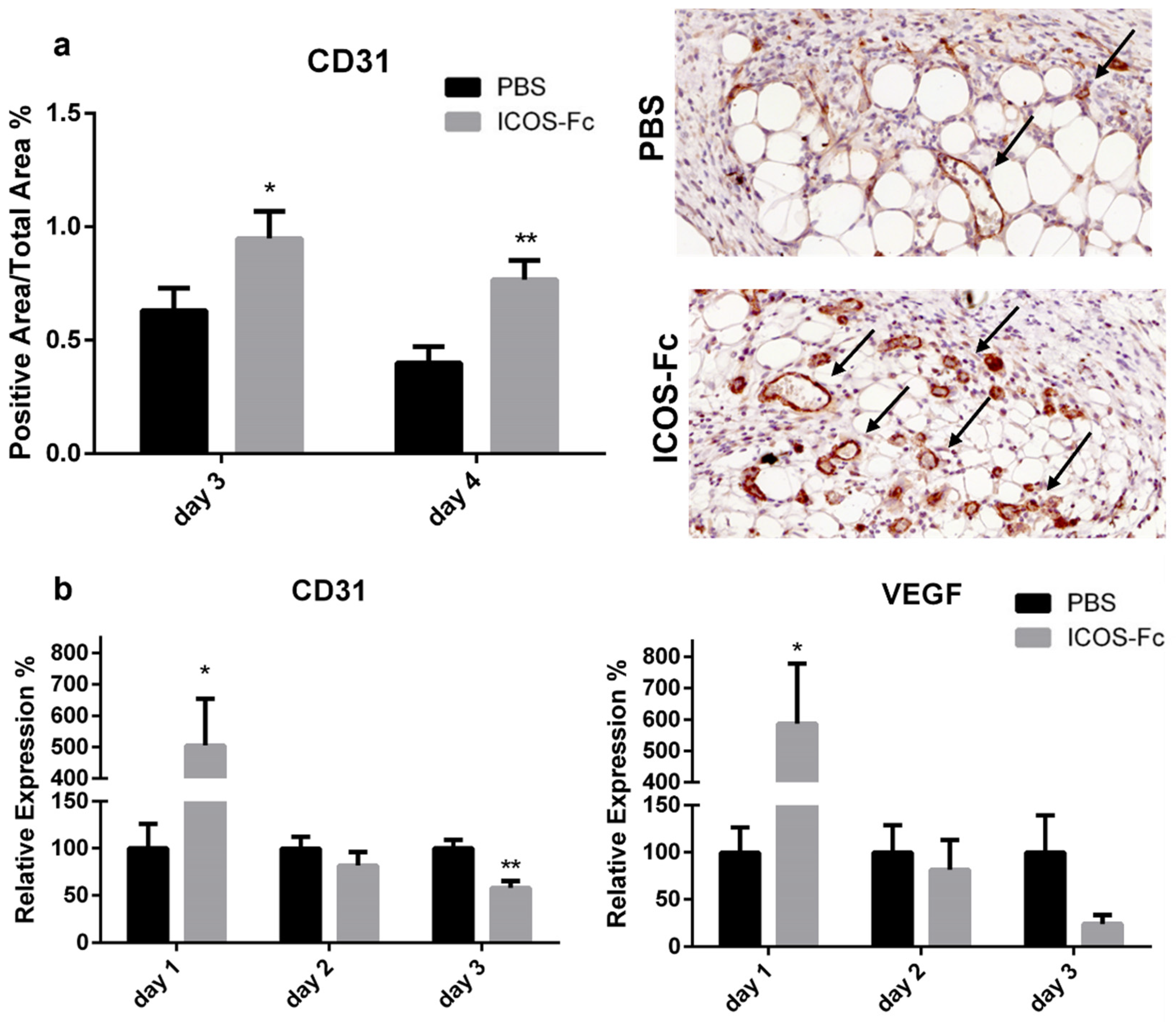 Ijms 23 07363 g003 550