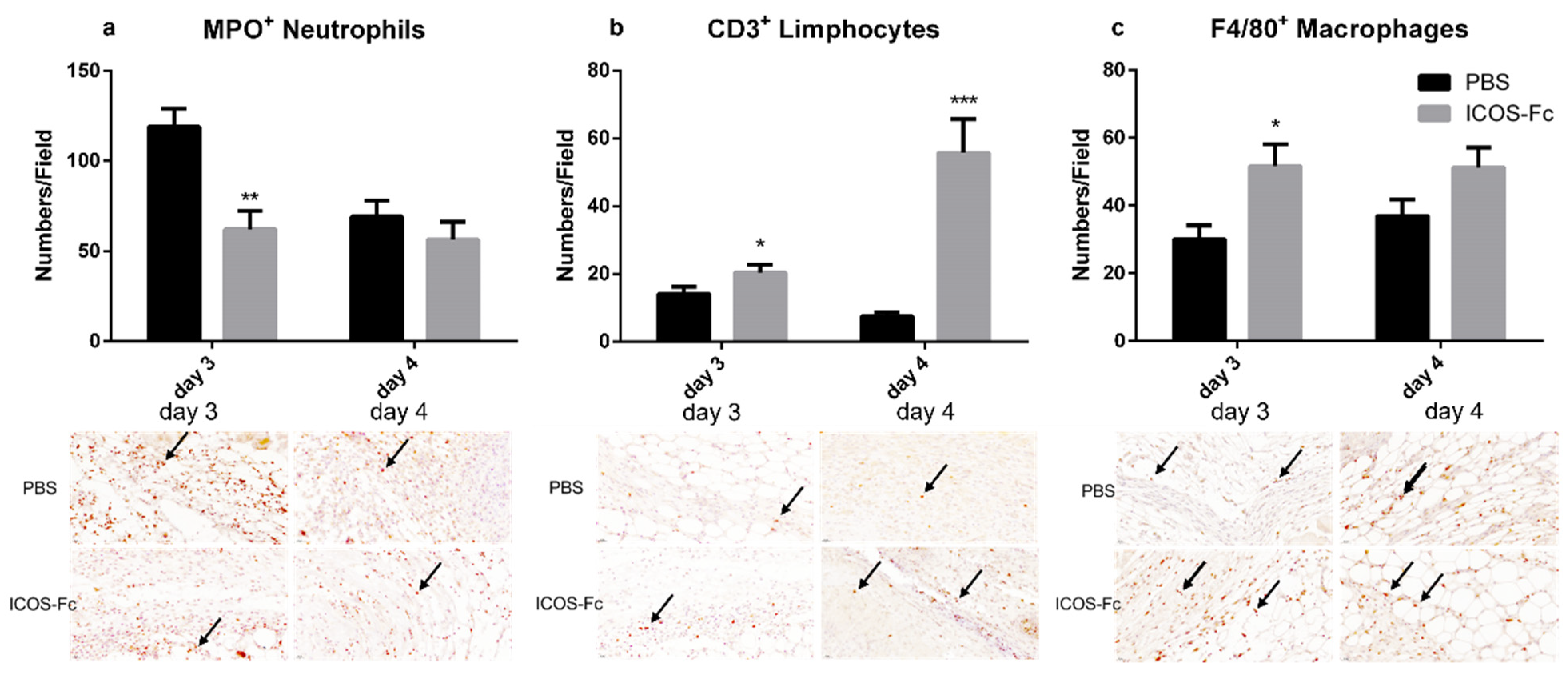 Ijms 23 07363 g004 550