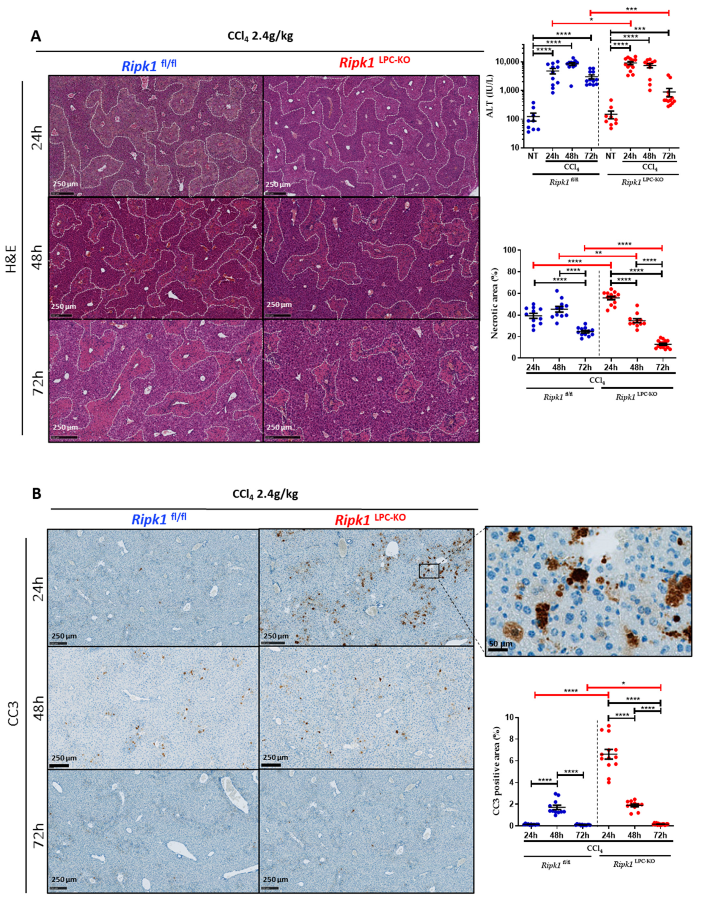 Ijms 23 07367 g001 550