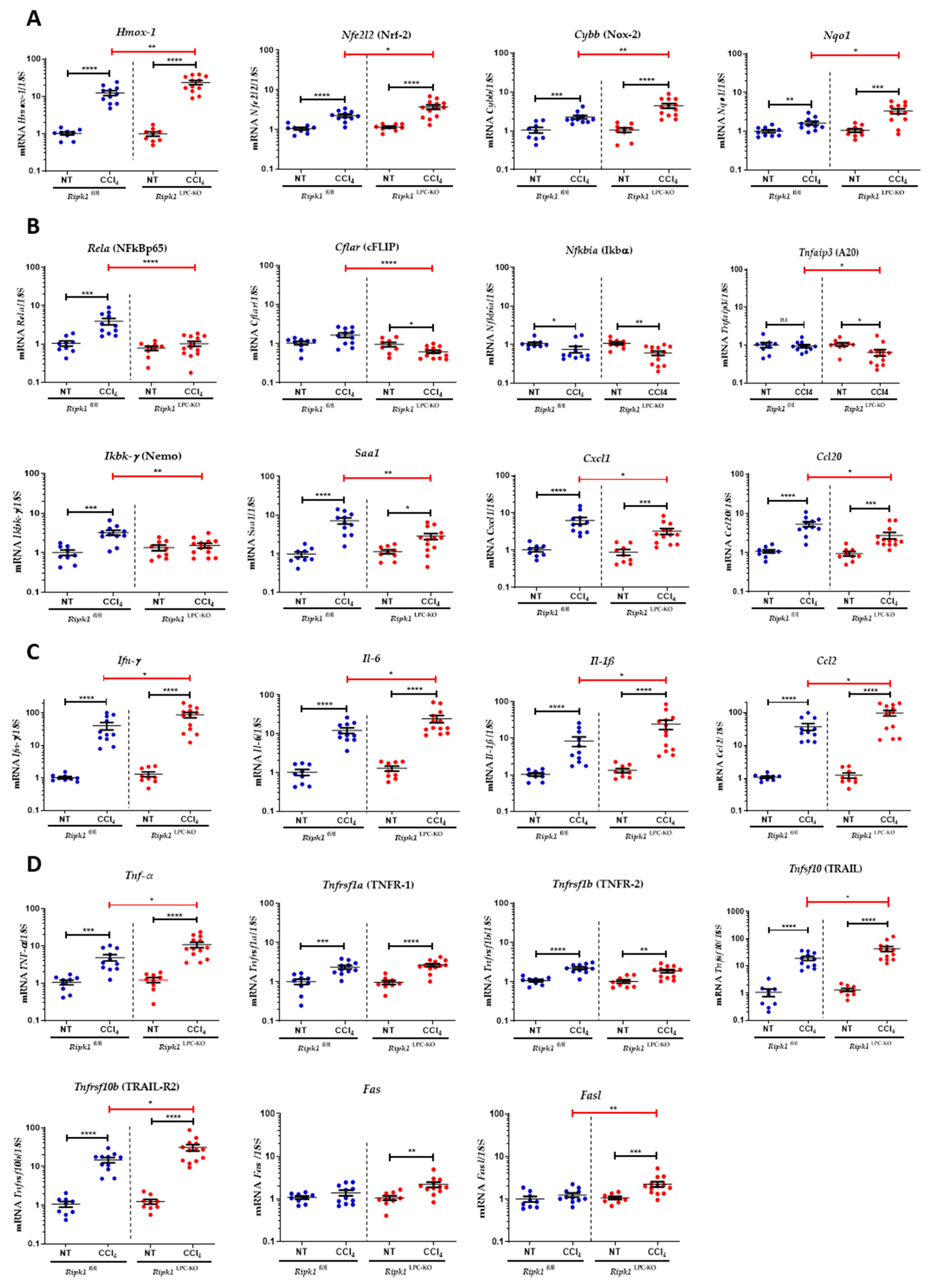 Ijms 23 07367 g004 550