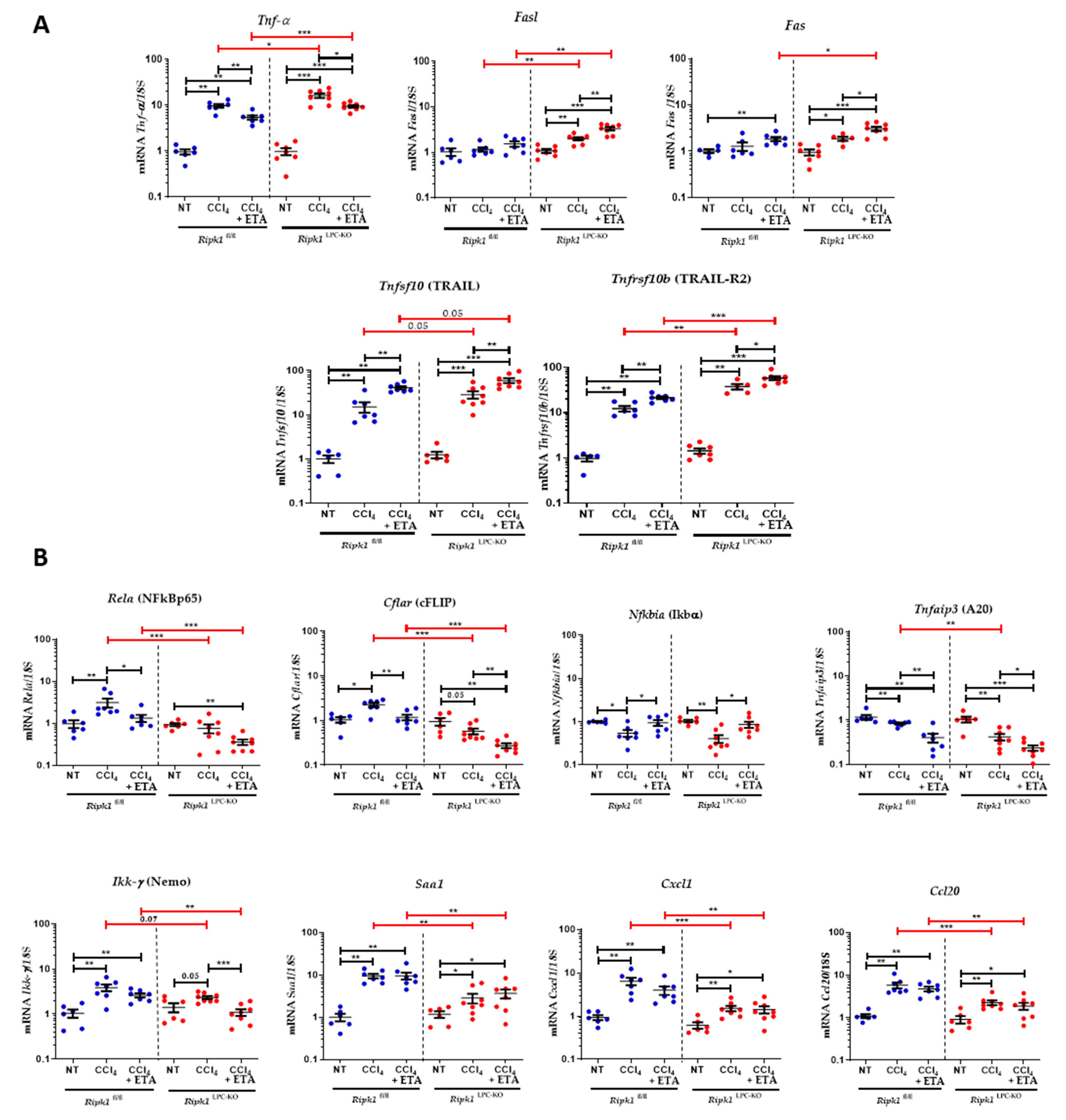 Ijms 23 07367 g006 550