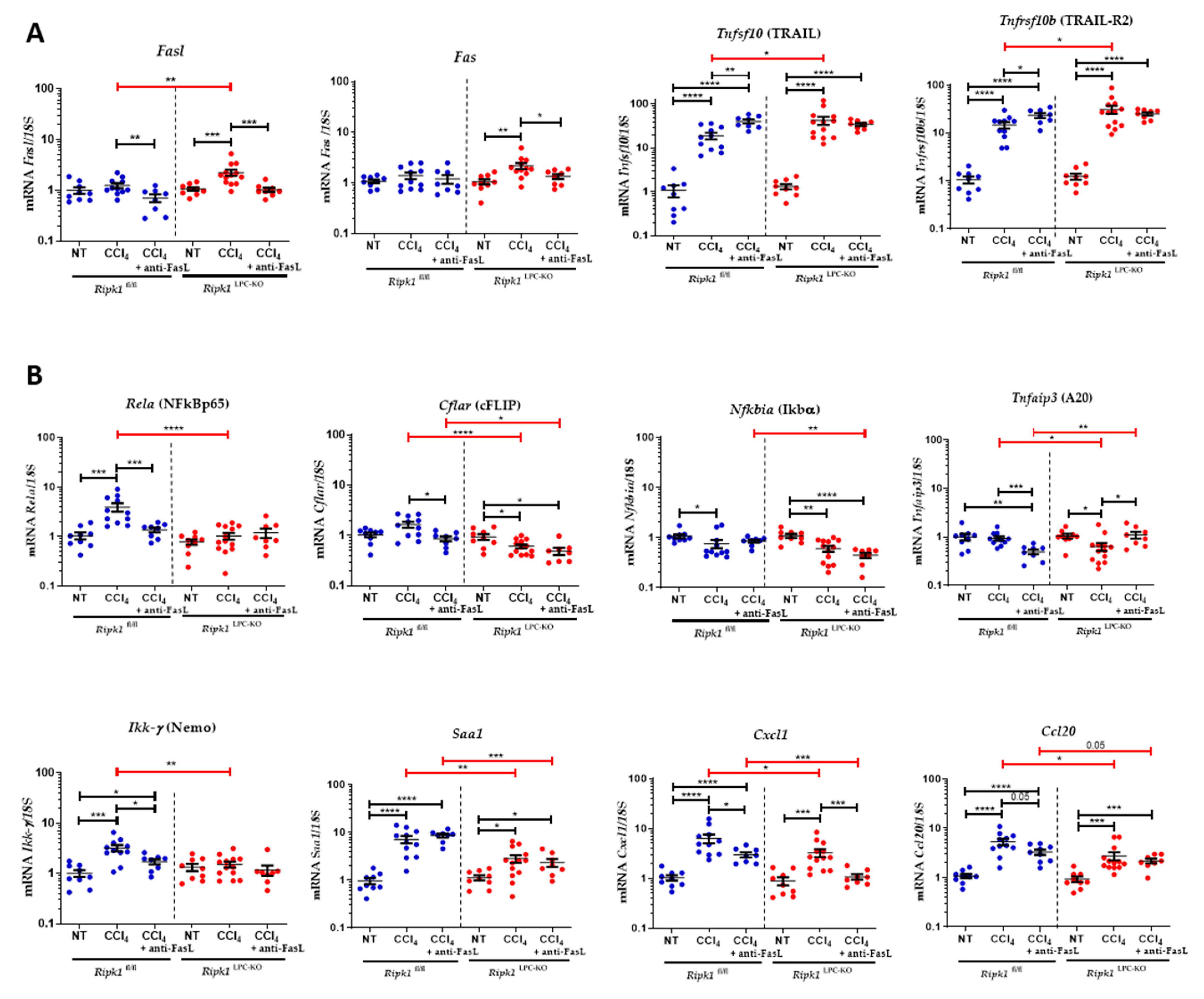 Ijms 23 07367 g008 550