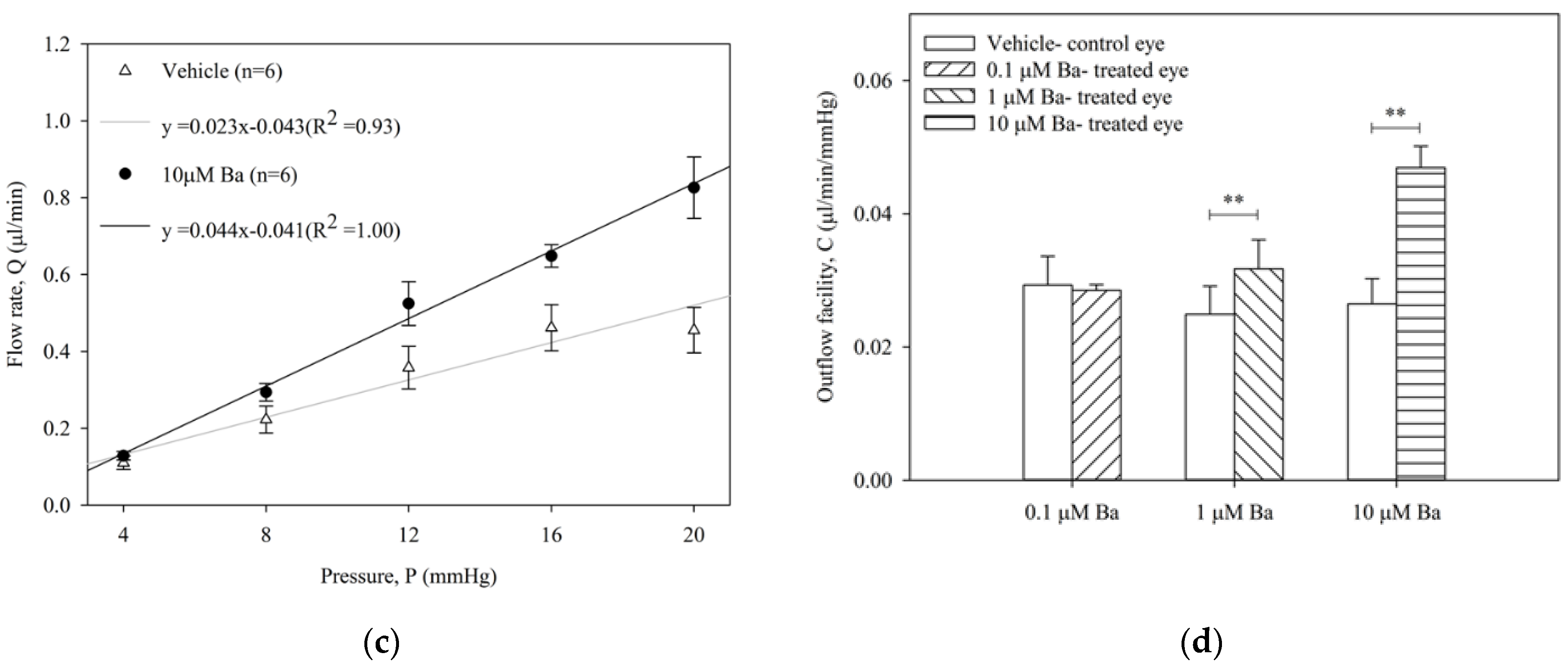 Ijms 23 07372 g002b Ijms 23 07372 g002b