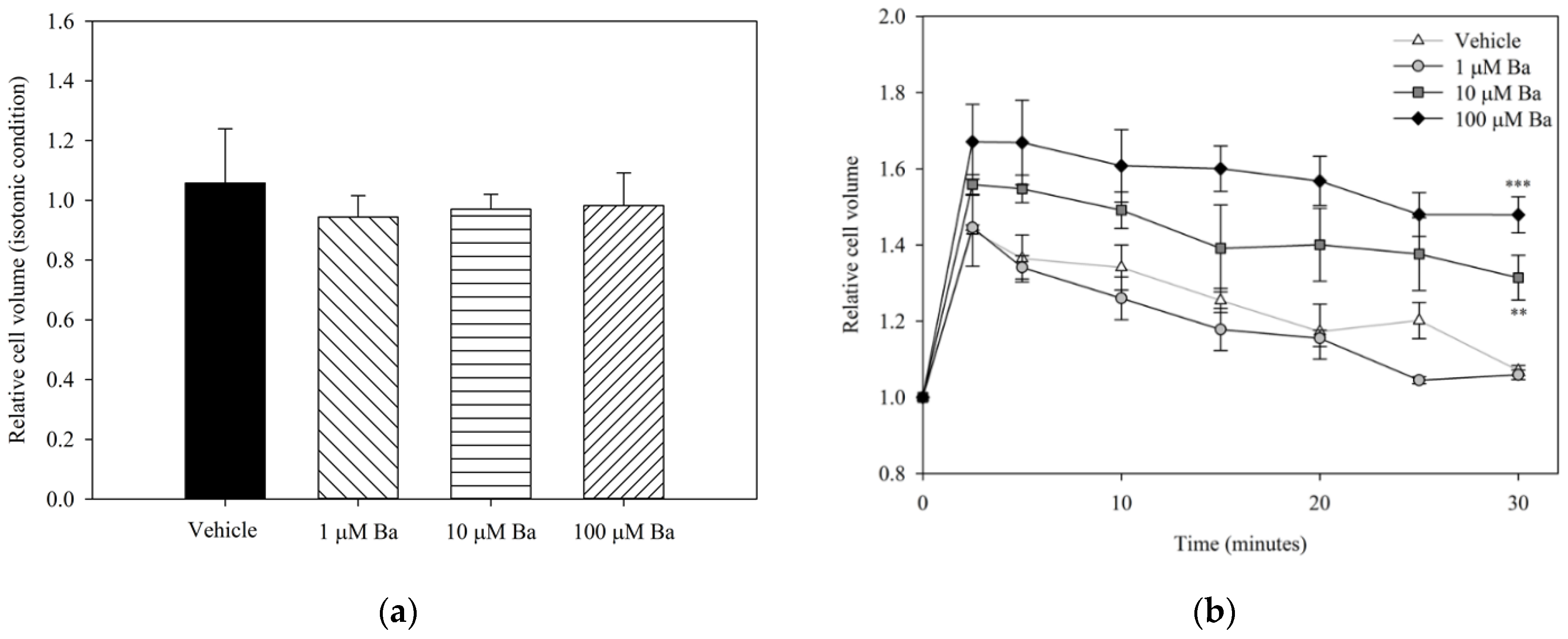 Ijms 23 07372 g003 Ijms 23 07372 g003