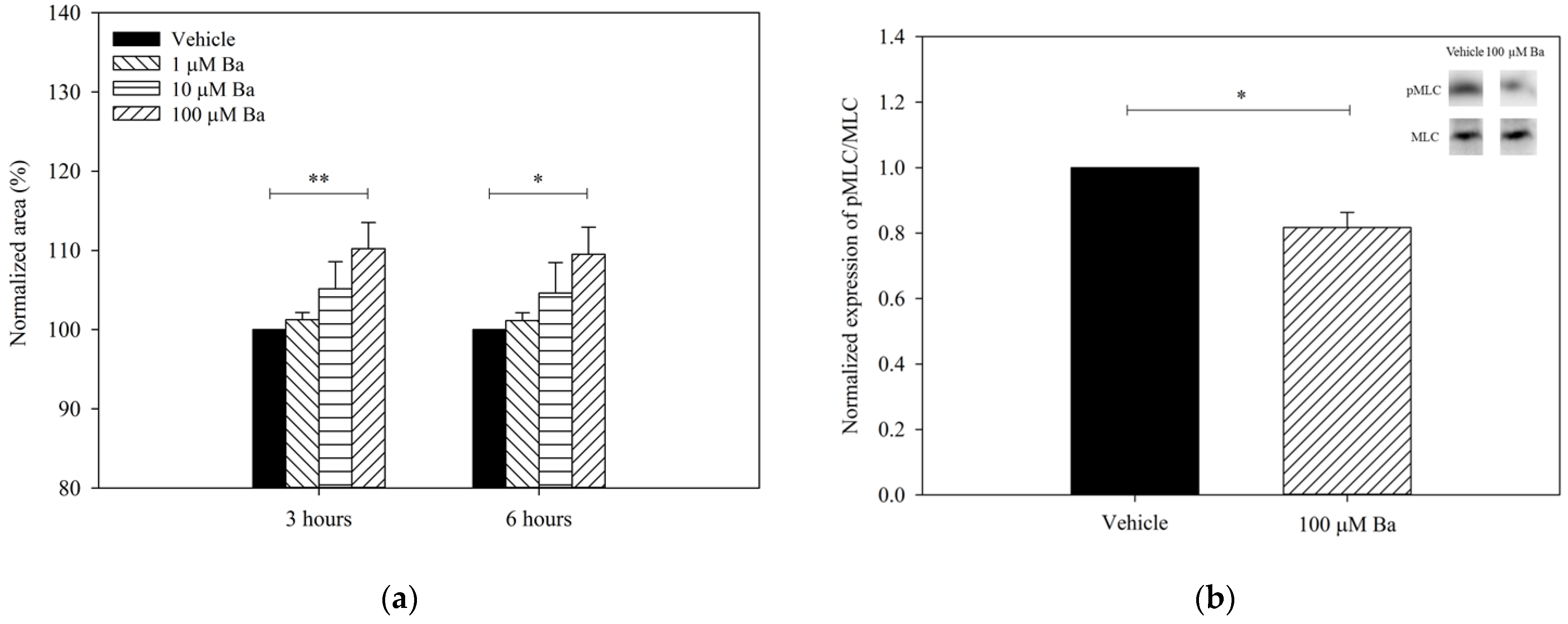 Ijms 23 07372 g004 Ijms 23 07372 g004