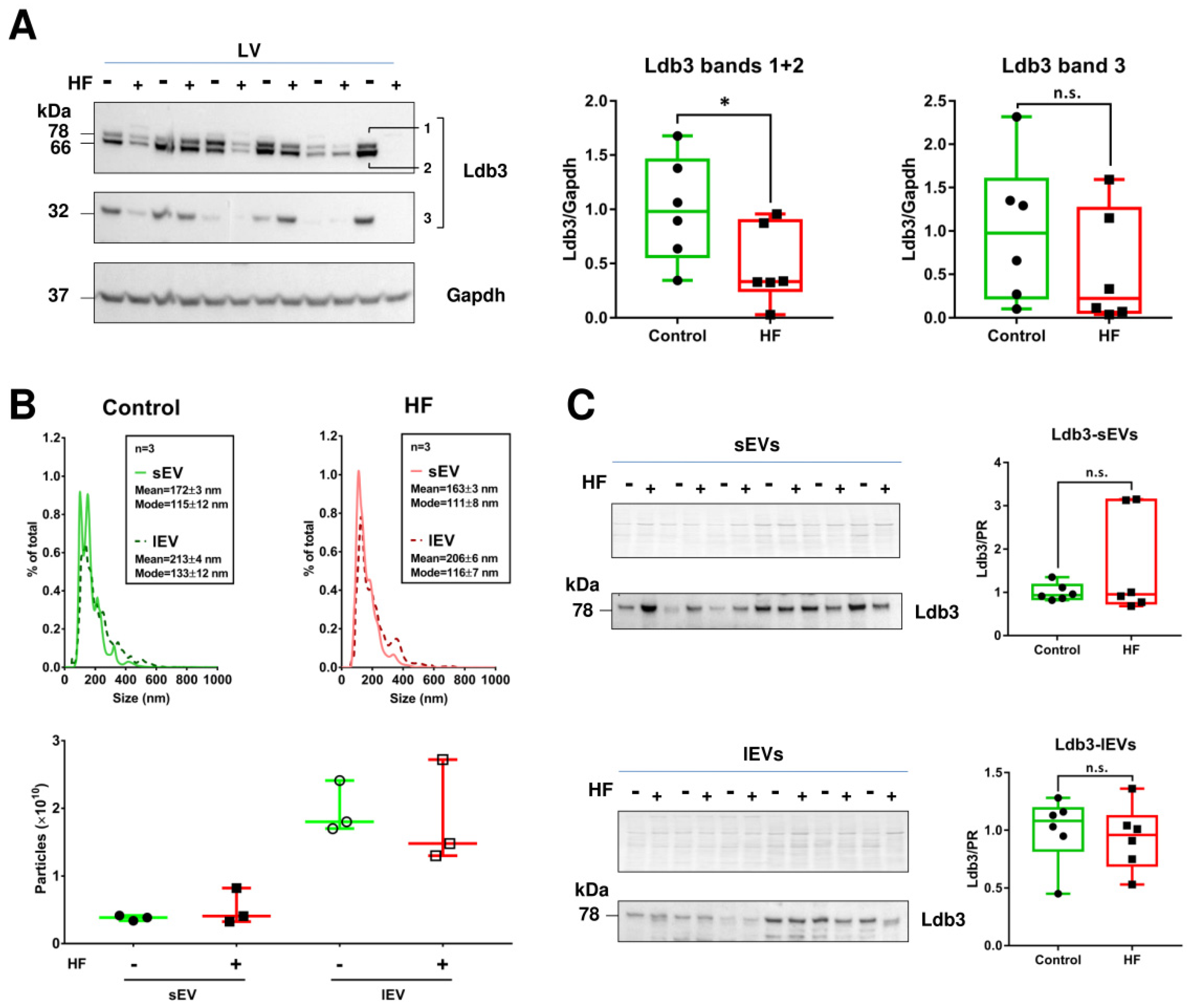 Ijms 23 07374 g005 550