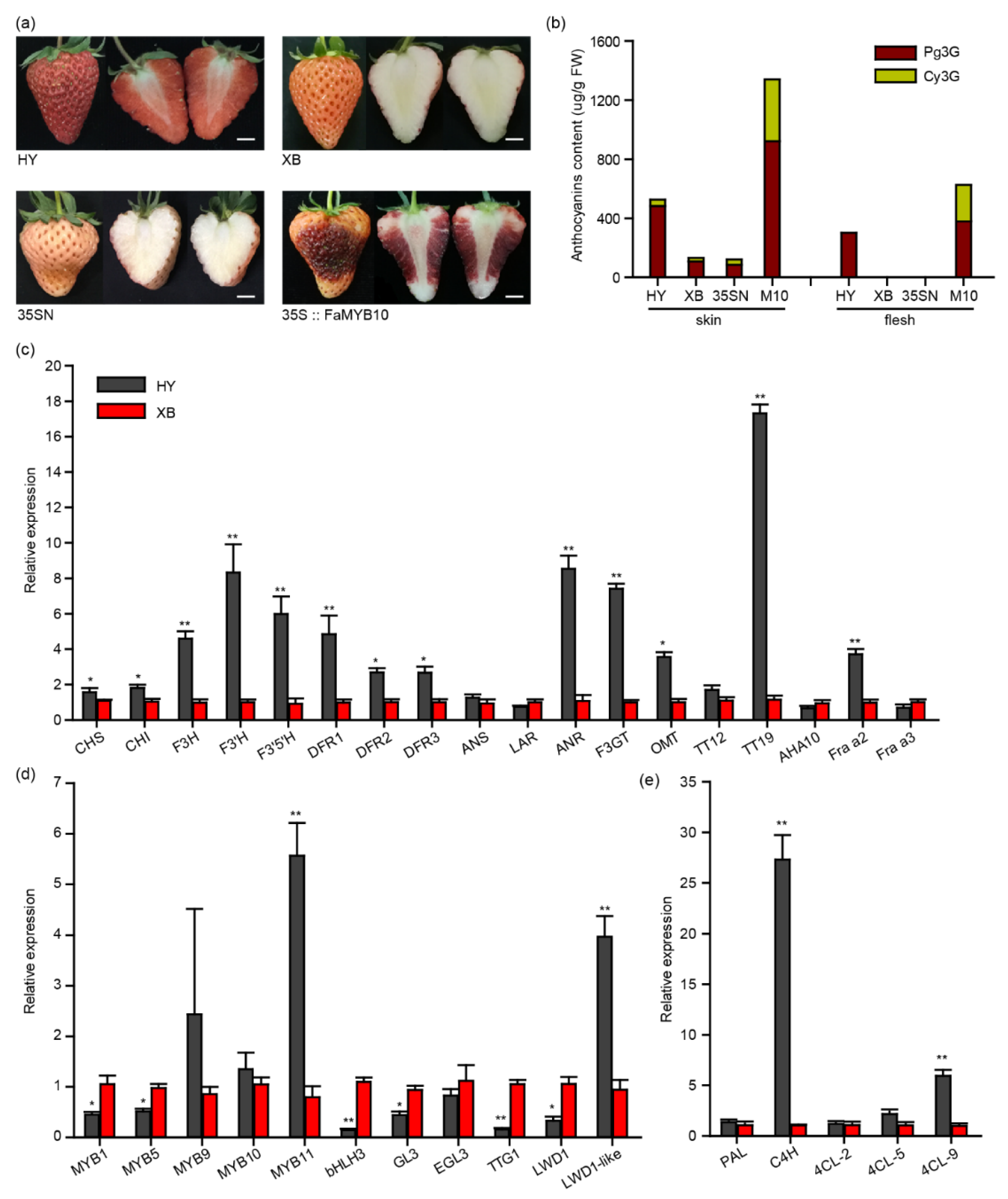 Ijms 23 07375 g001 550