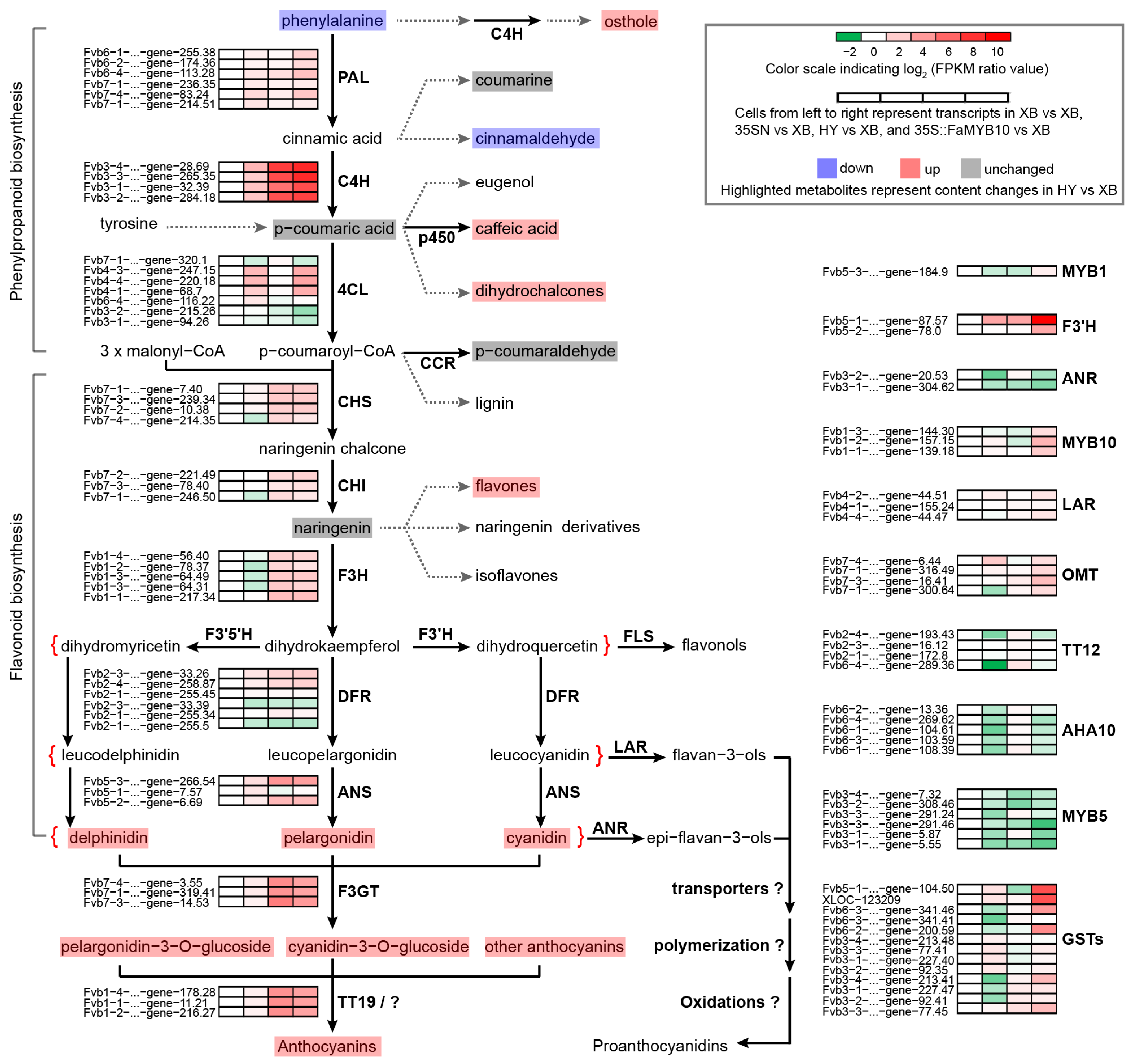 Ijms 23 07375 g002 550