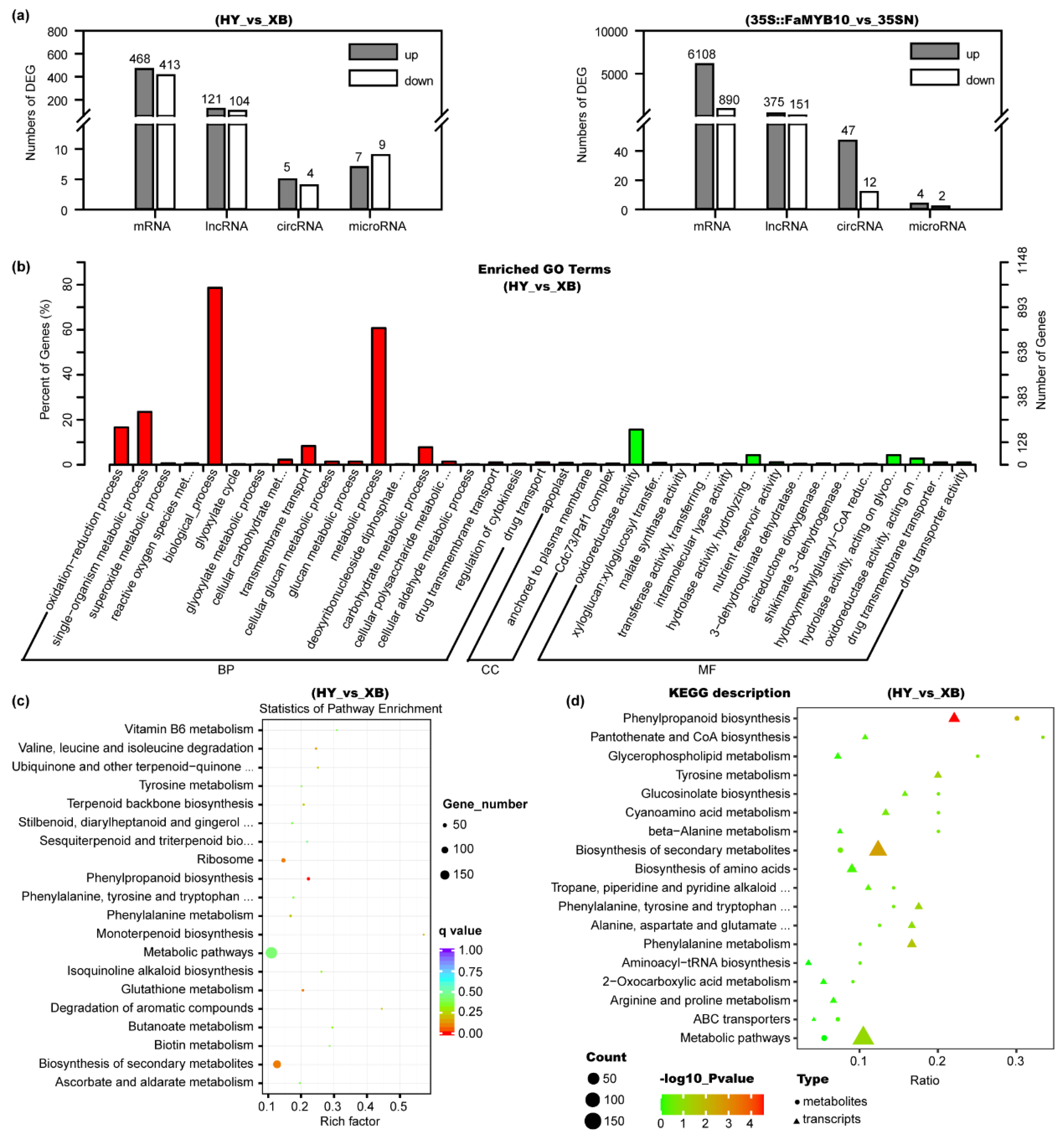 Ijms 23 07375 g003 550