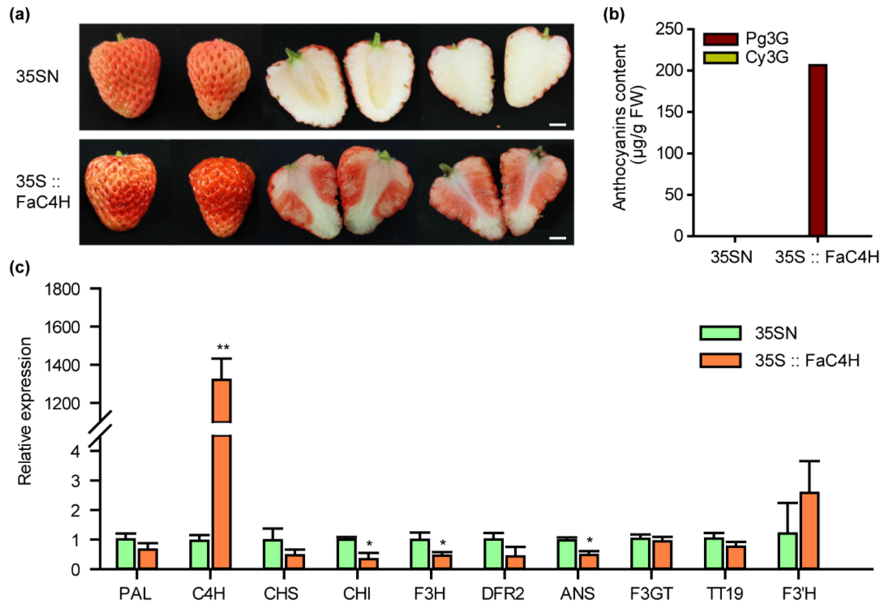 Ijms 23 07375 g004 550