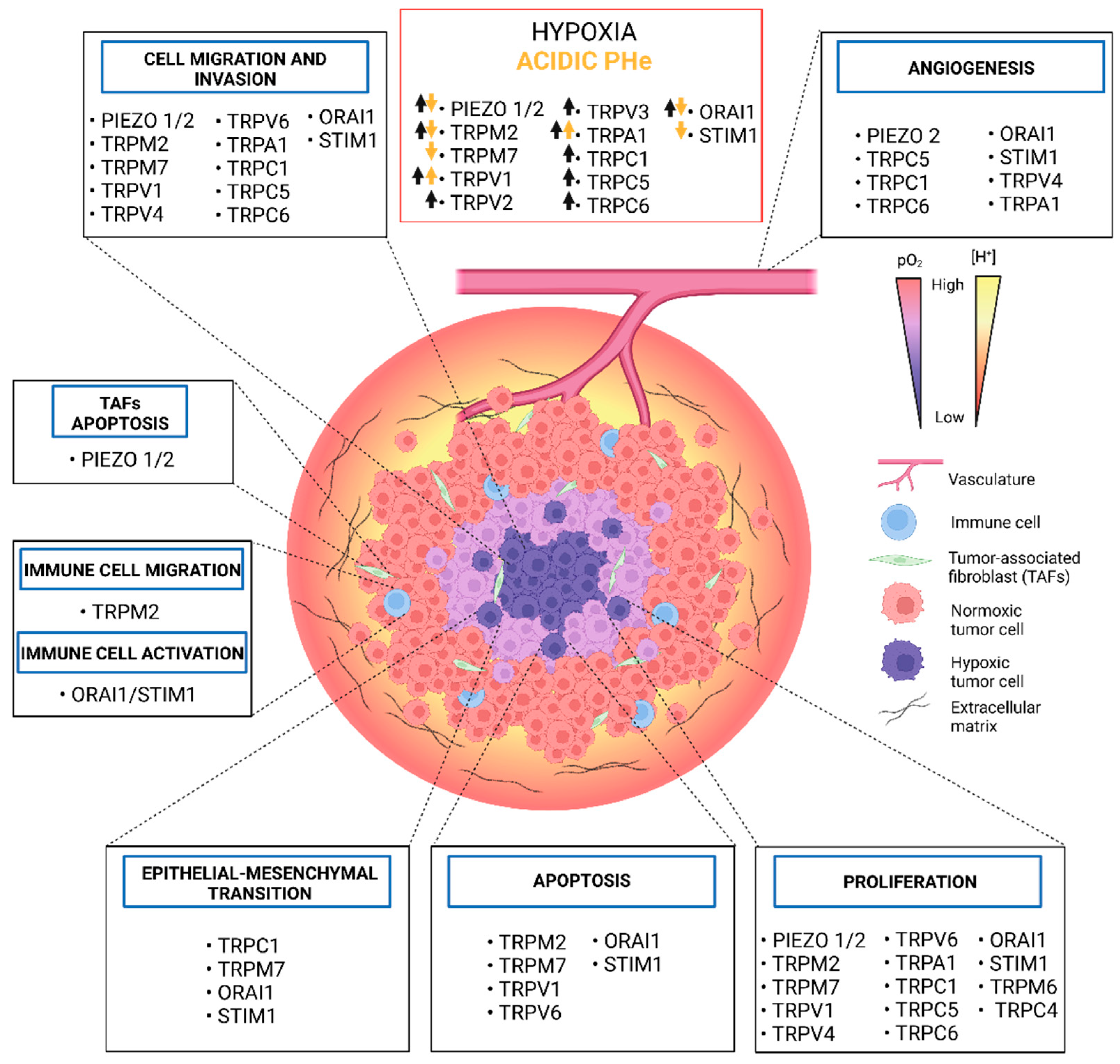 Ijms 23 07377 g003 Ijms 23 07377 g003