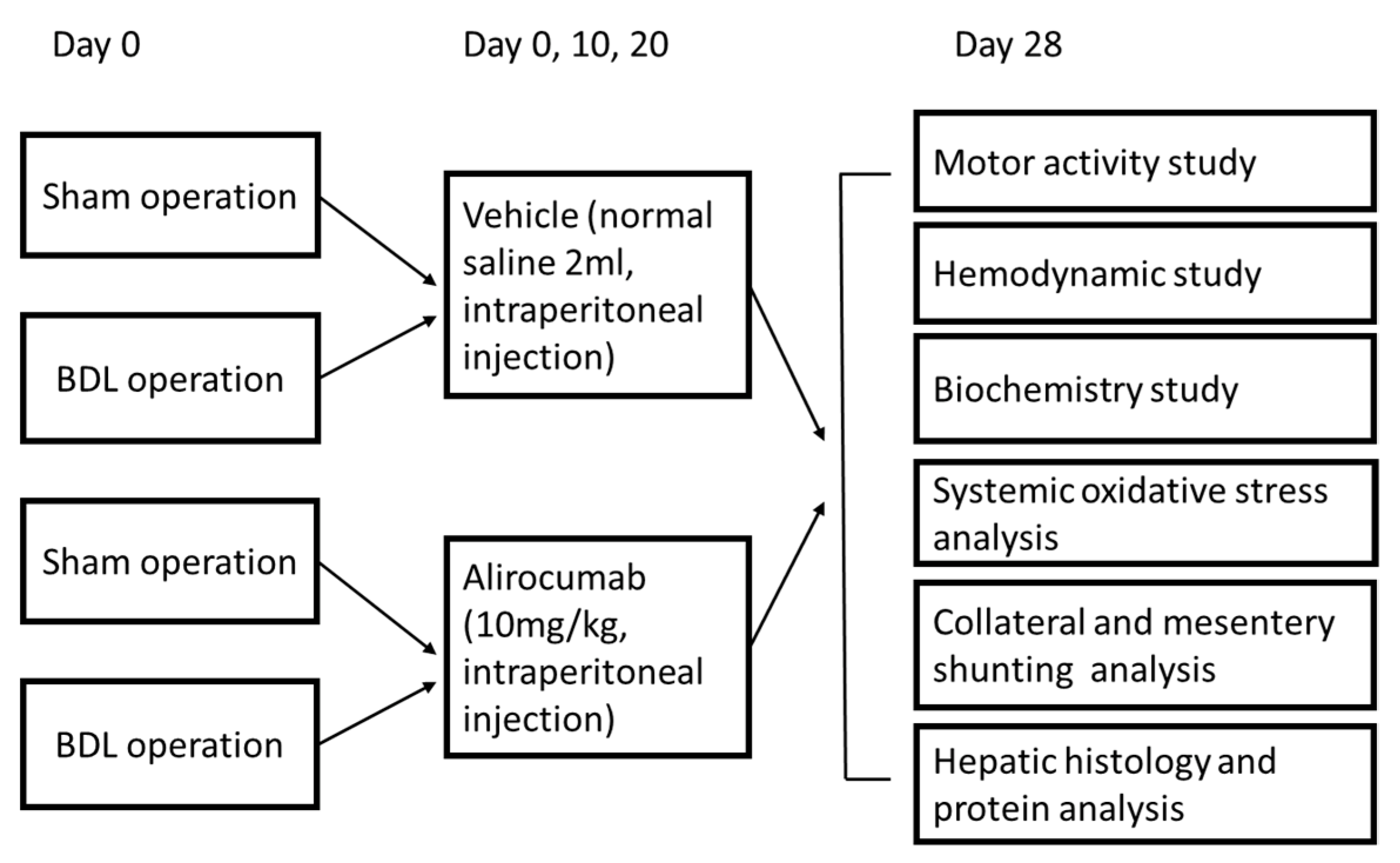 Ijms 23 07378 g001 Ijms 23 07378 g001