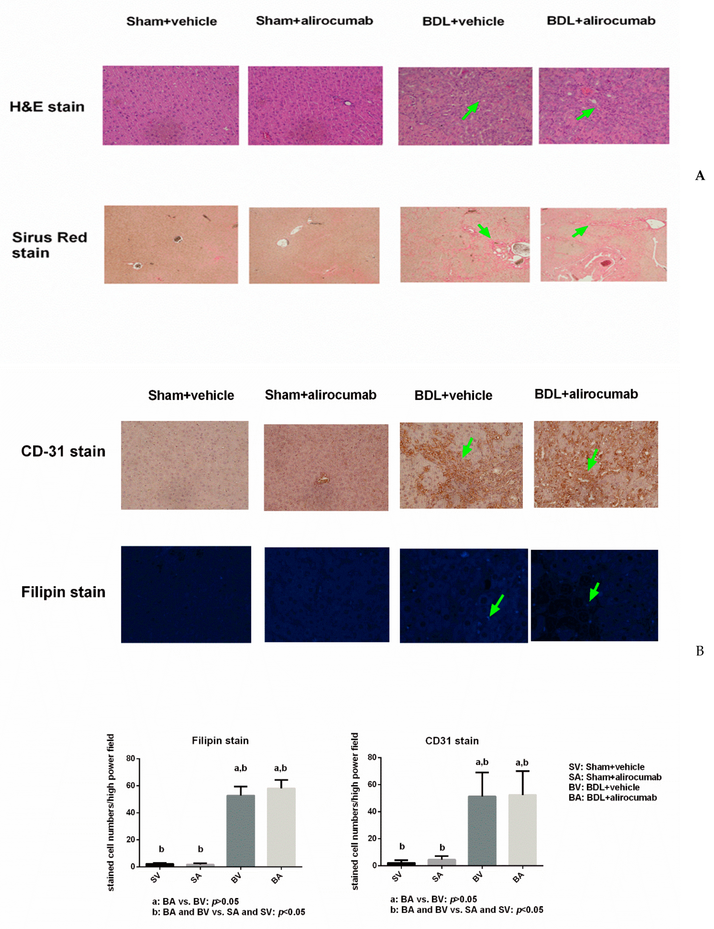Ijms 23 07378 g002 Ijms 23 07378 g002