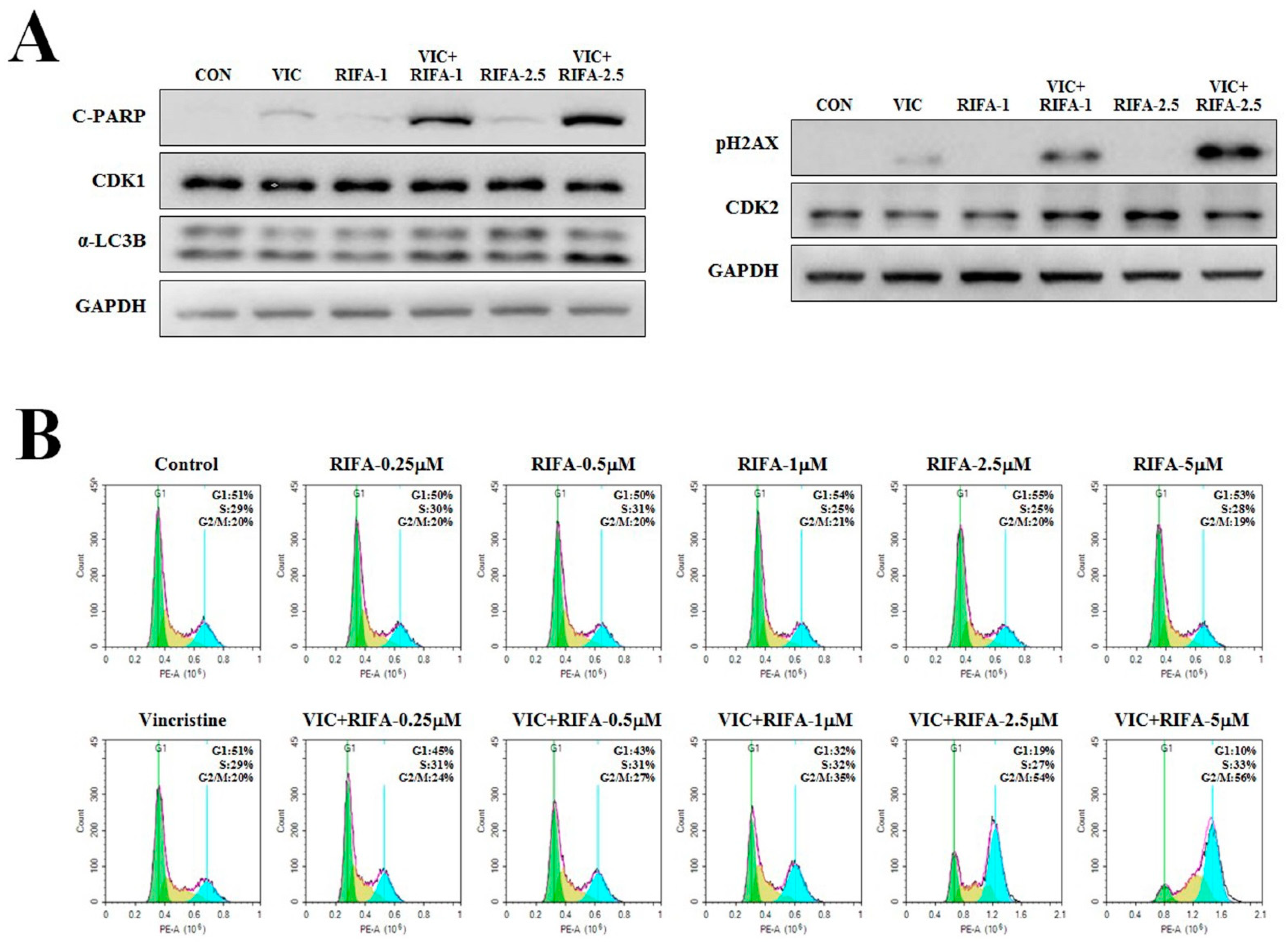 Ijms 23 07383 g003 550