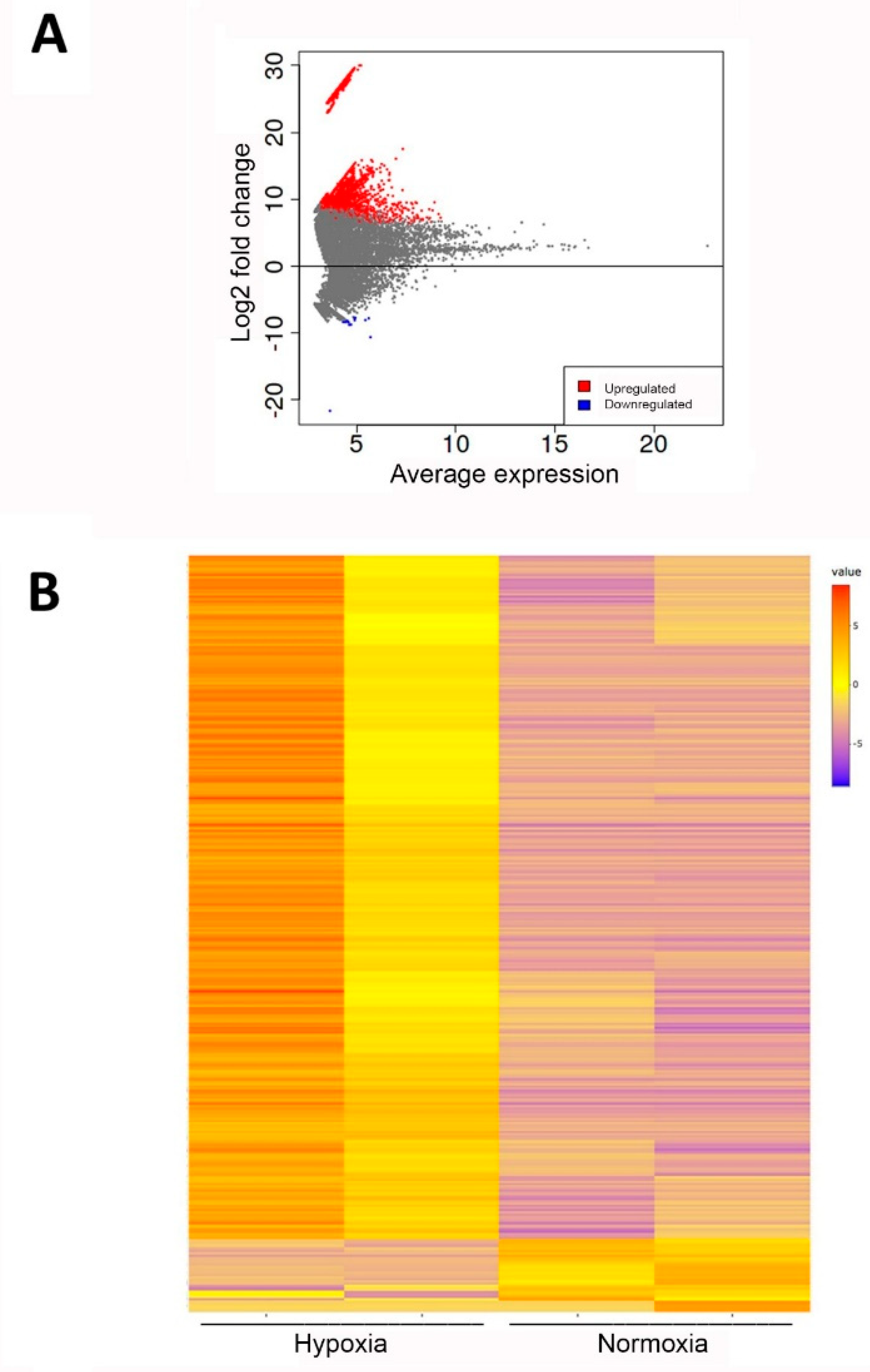 Ijms 23 07384 g003 550