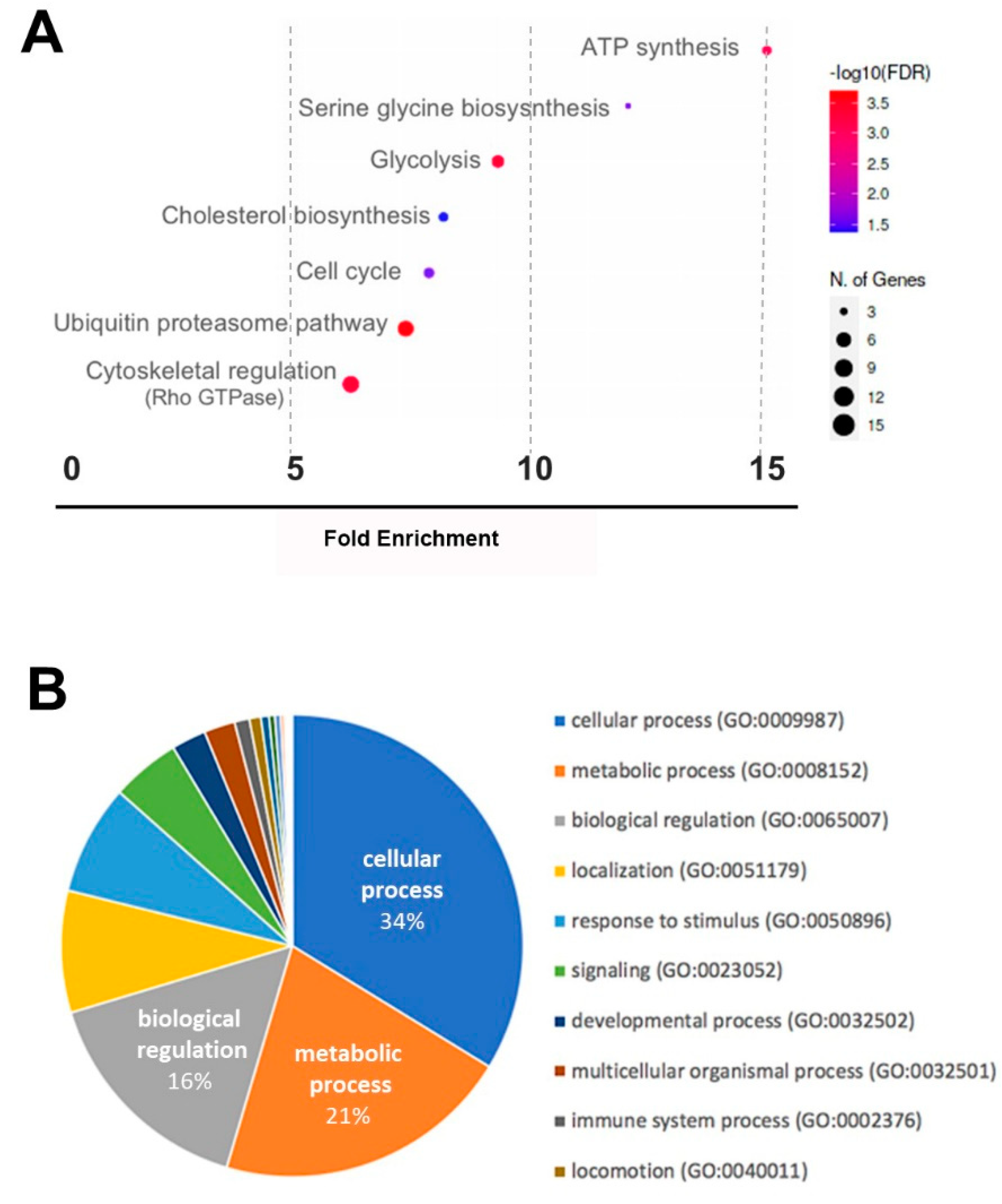 Ijms 23 07384 g004 550