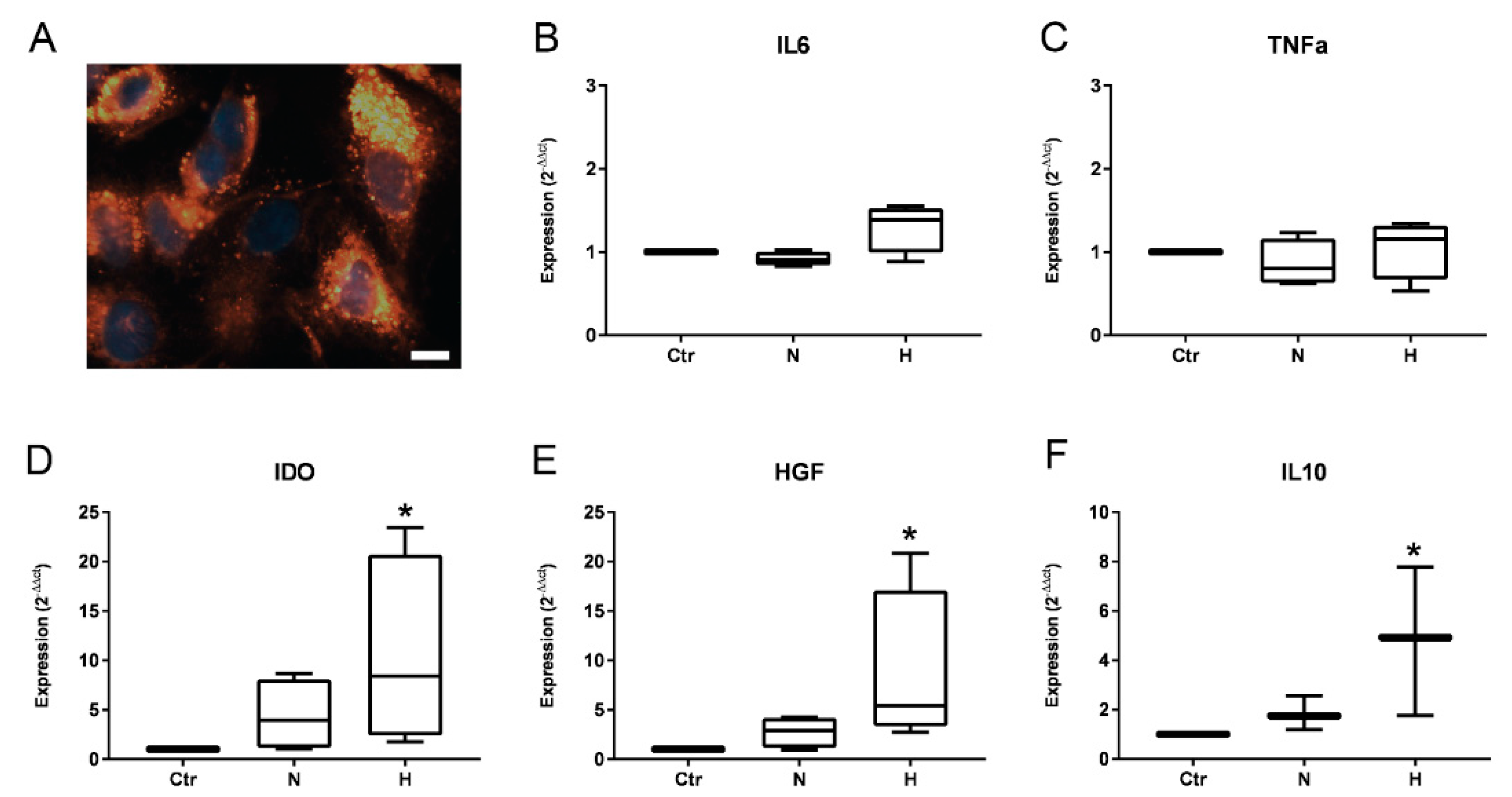 Ijms 23 07384 g007 550