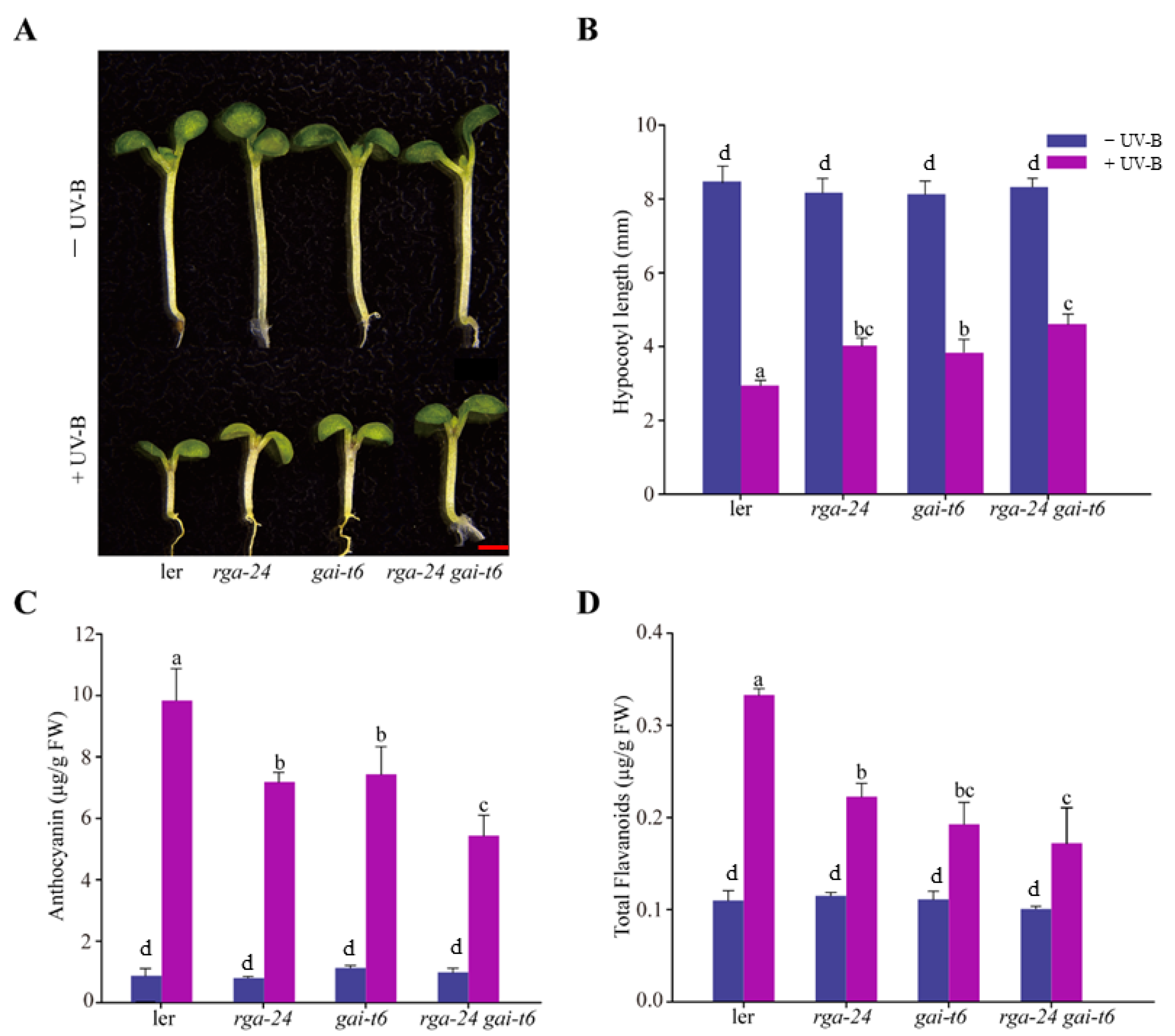 Ijms 23 07386 g002 550