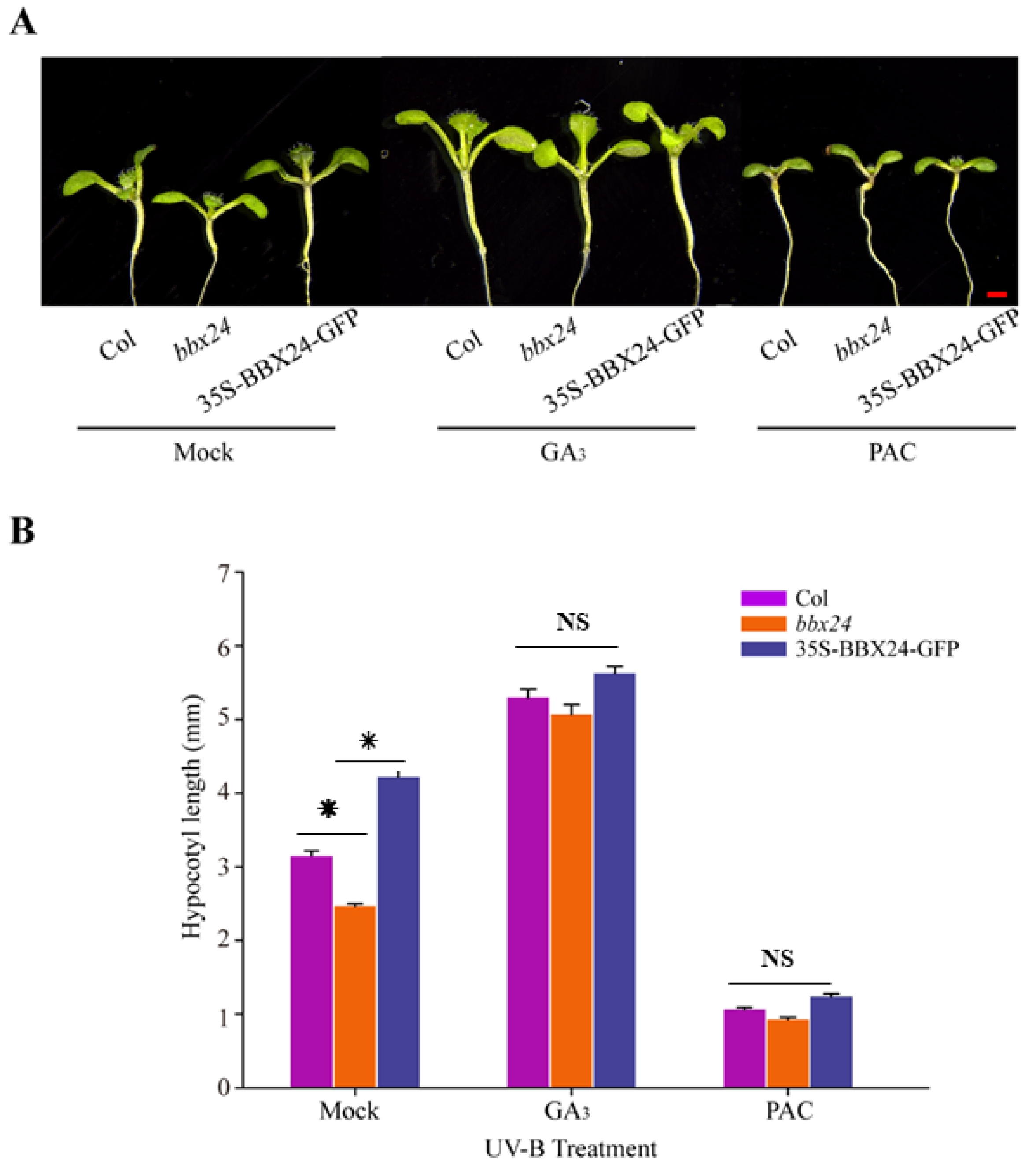 Ijms 23 07386 g004 550
