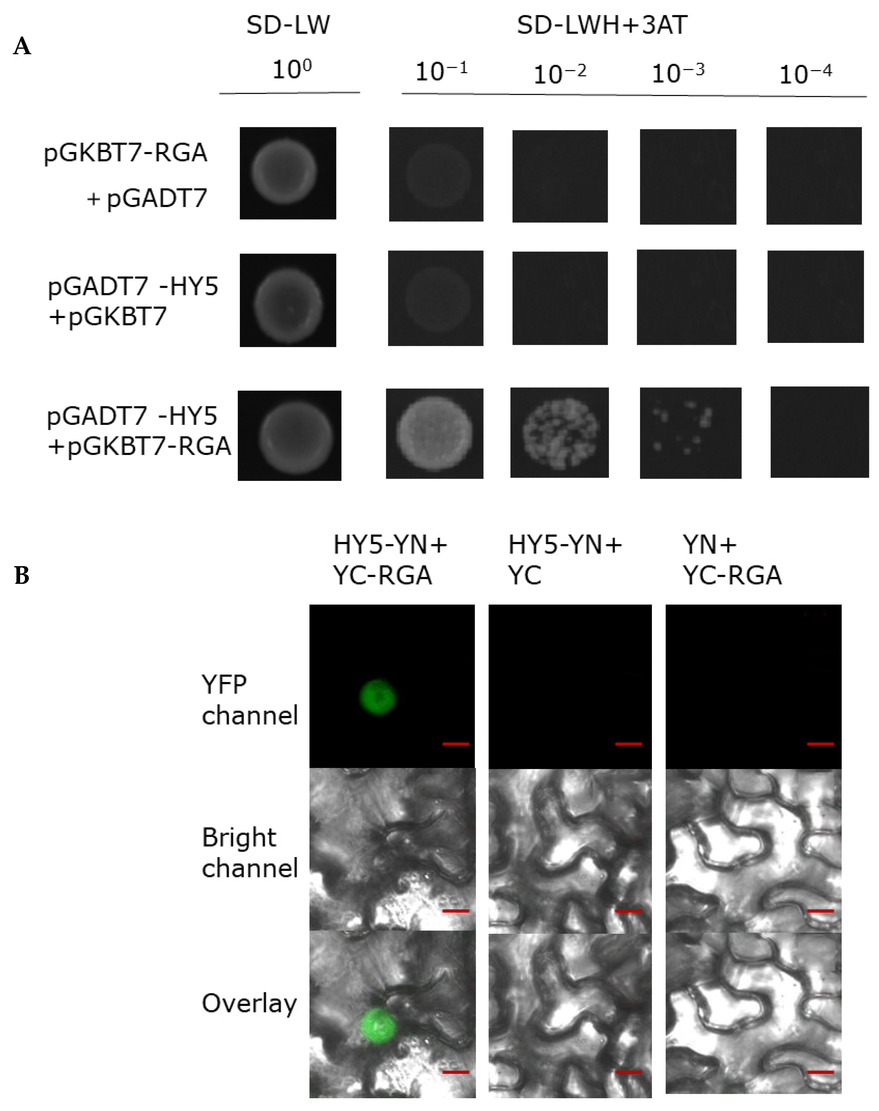 Ijms 23 07386 g007 550