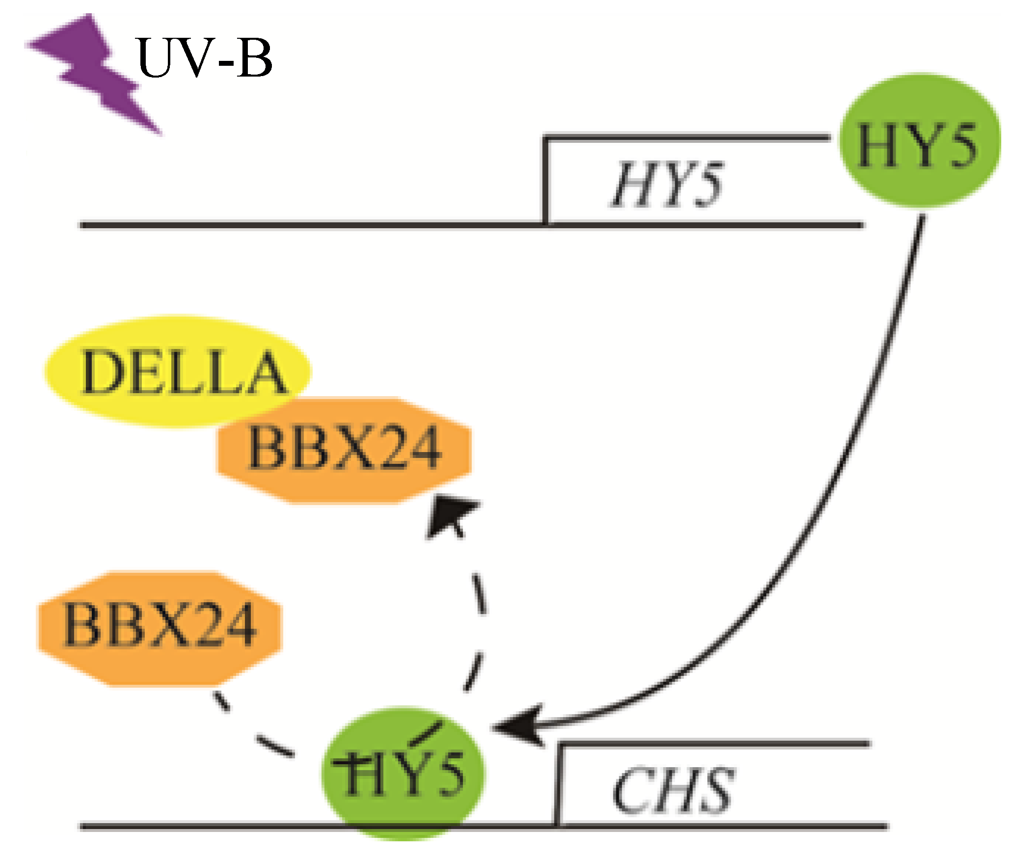 Ijms 23 07386 g008 550