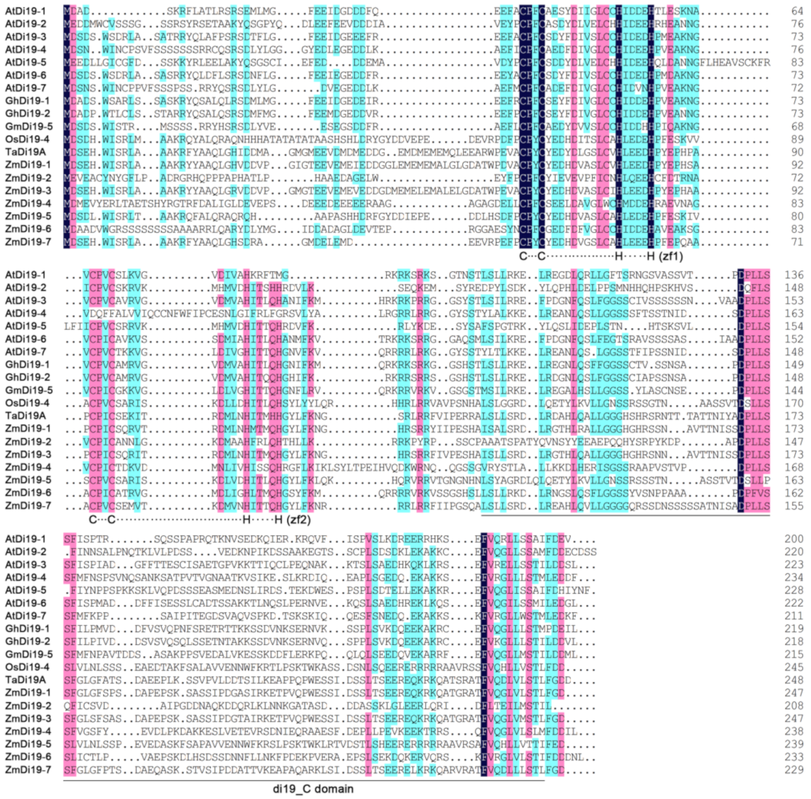Ijms 23 07390 g001 550