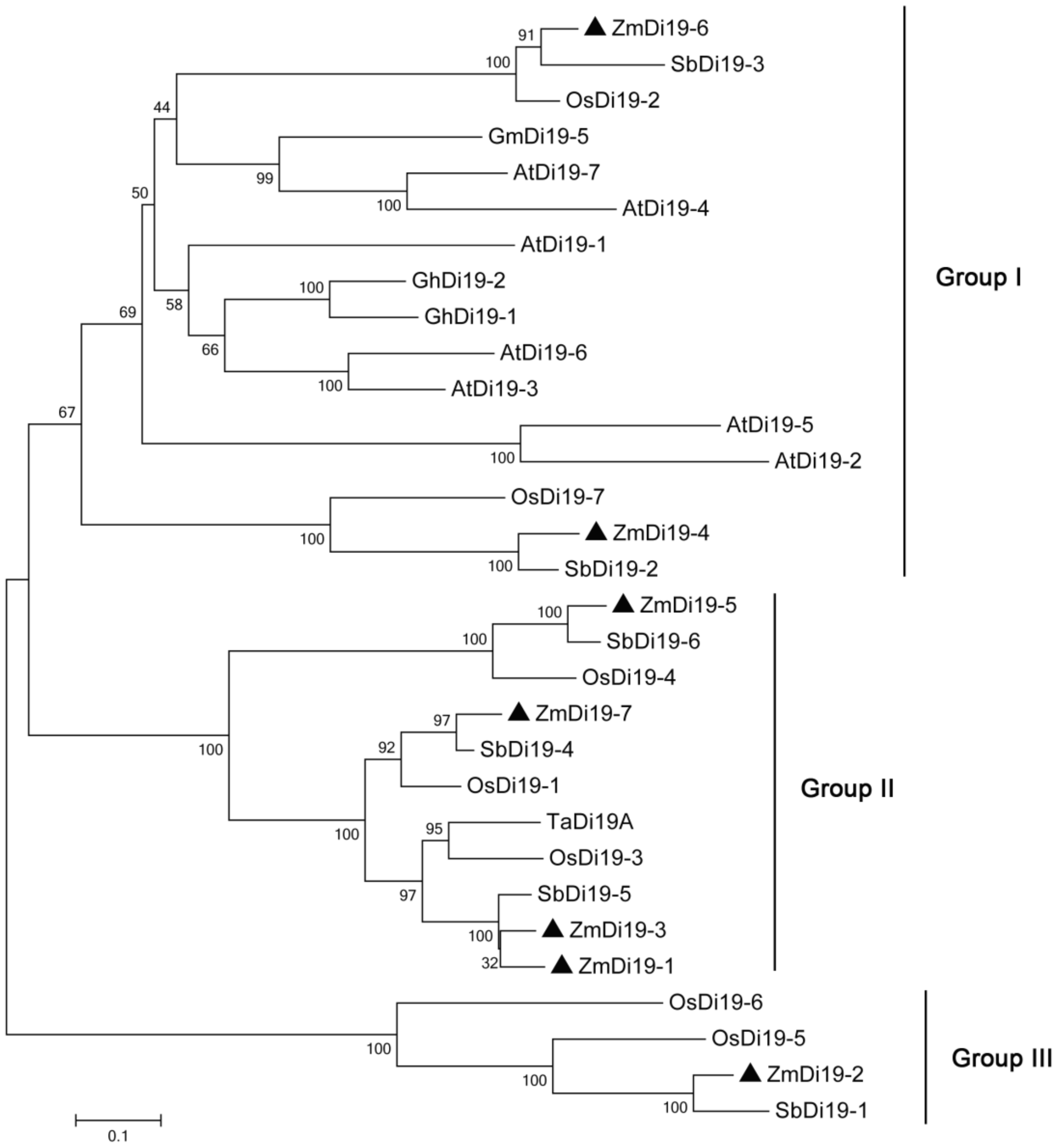 Ijms 23 07390 g004 550