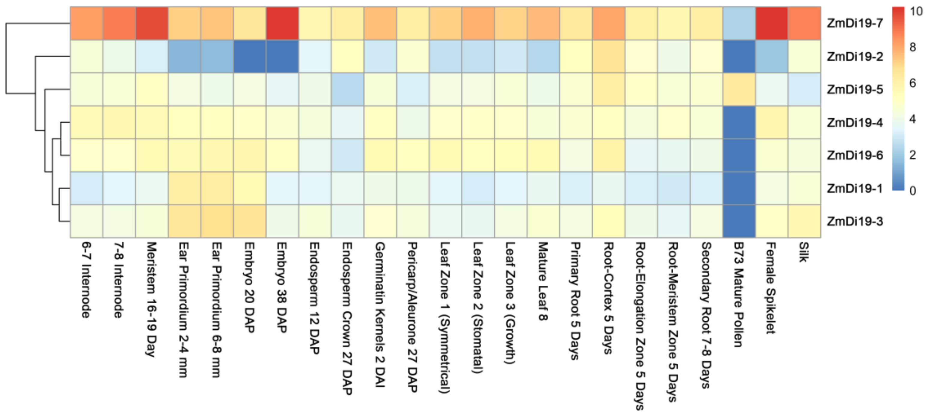Ijms 23 07390 g005 550
