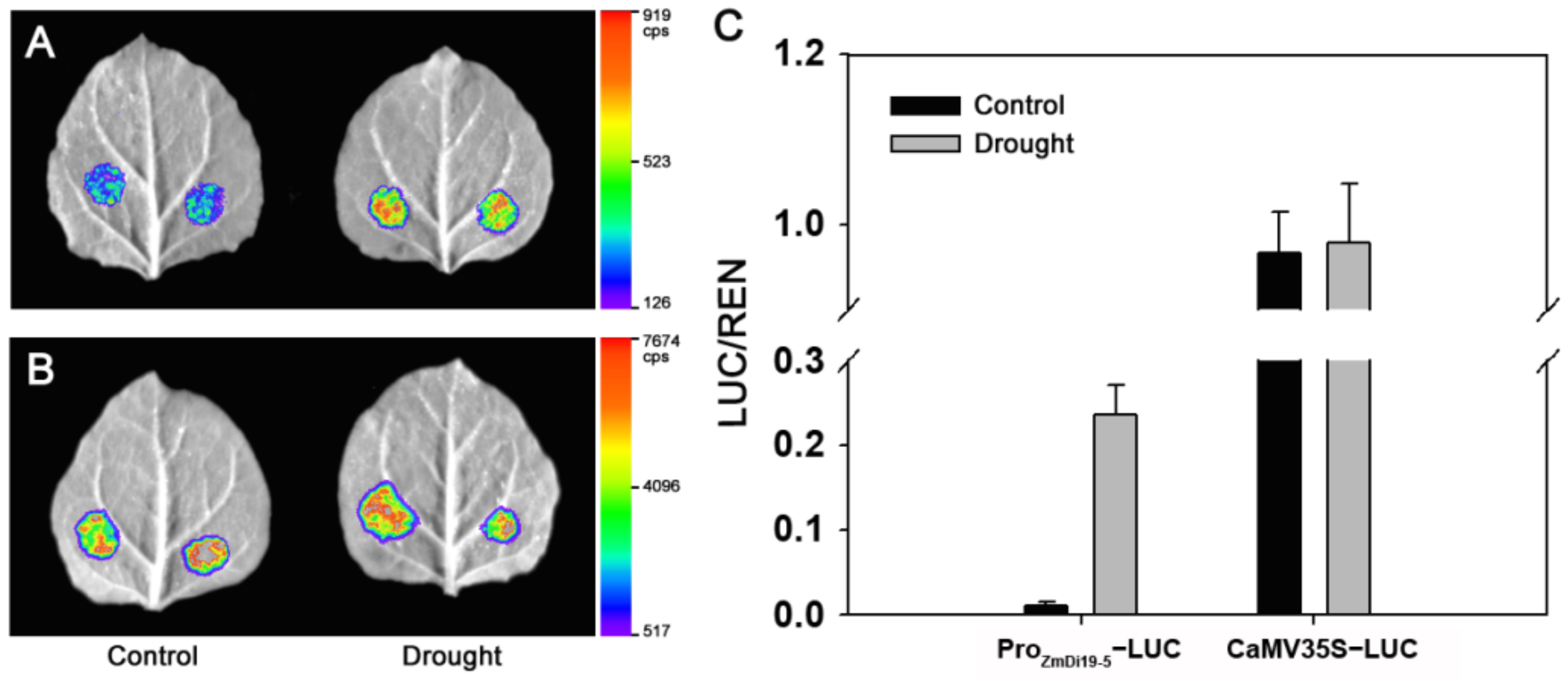 Ijms 23 07390 g006 550