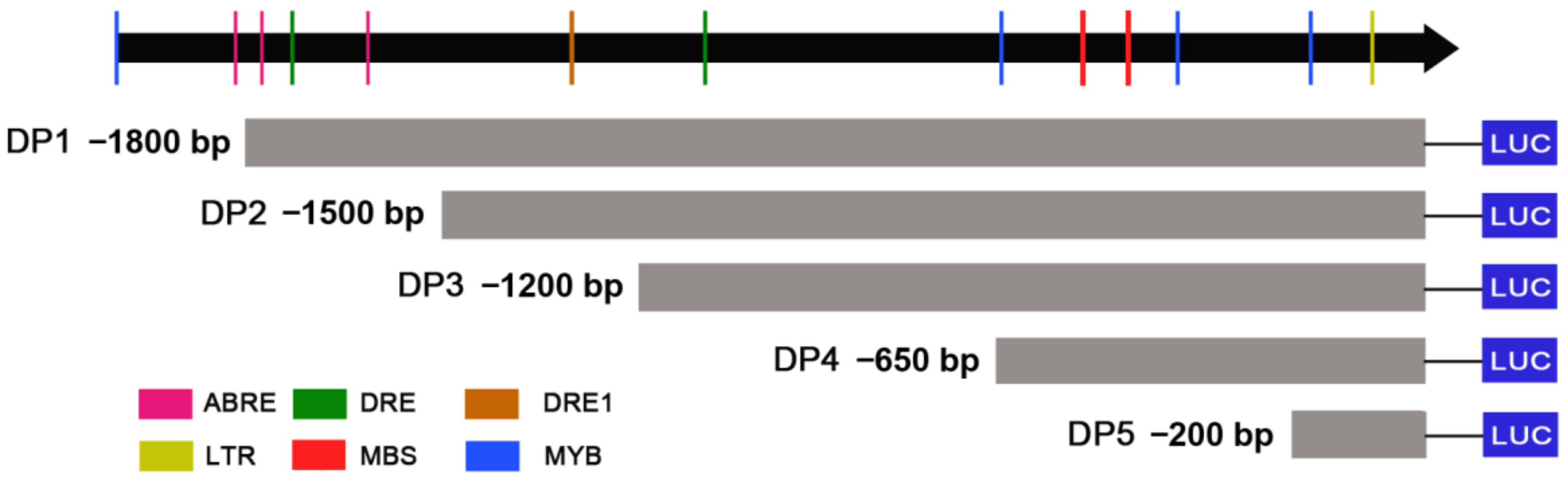 Ijms 23 07390 g007 550
